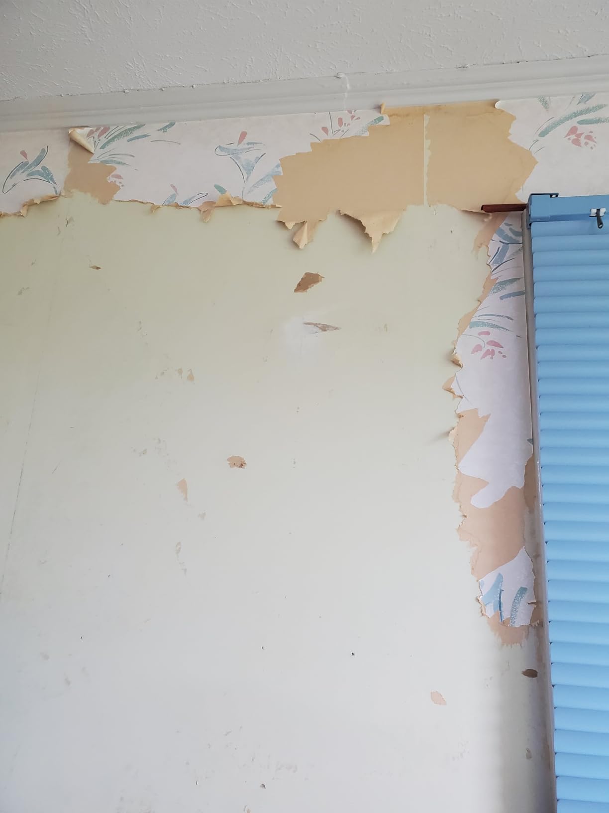 Wagner Spraytech 725 Wallpaper Steamer for Easy Removal, 2 Steam Plates customer photo 2