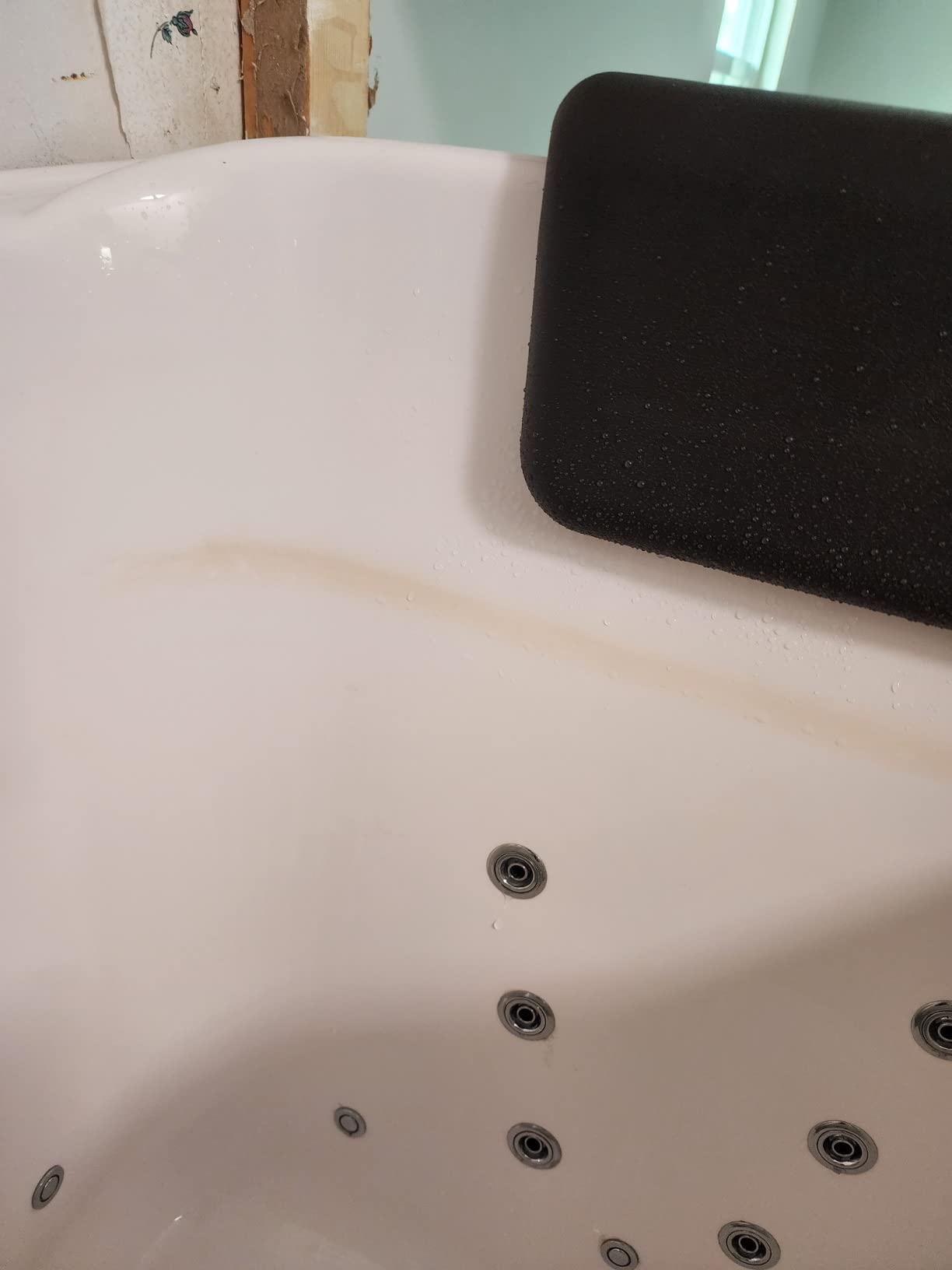 Walk In Tub, 27 x 53 In, Left Drain, Air & Whirlpool Jets, 110V customer photo 1
