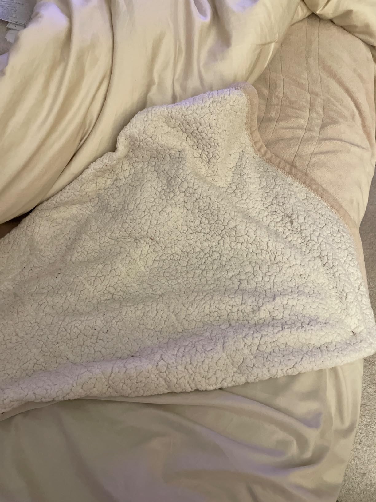 Sealy Electric Blanket Queen Size Heated Dual Control Auto Shutoff 84