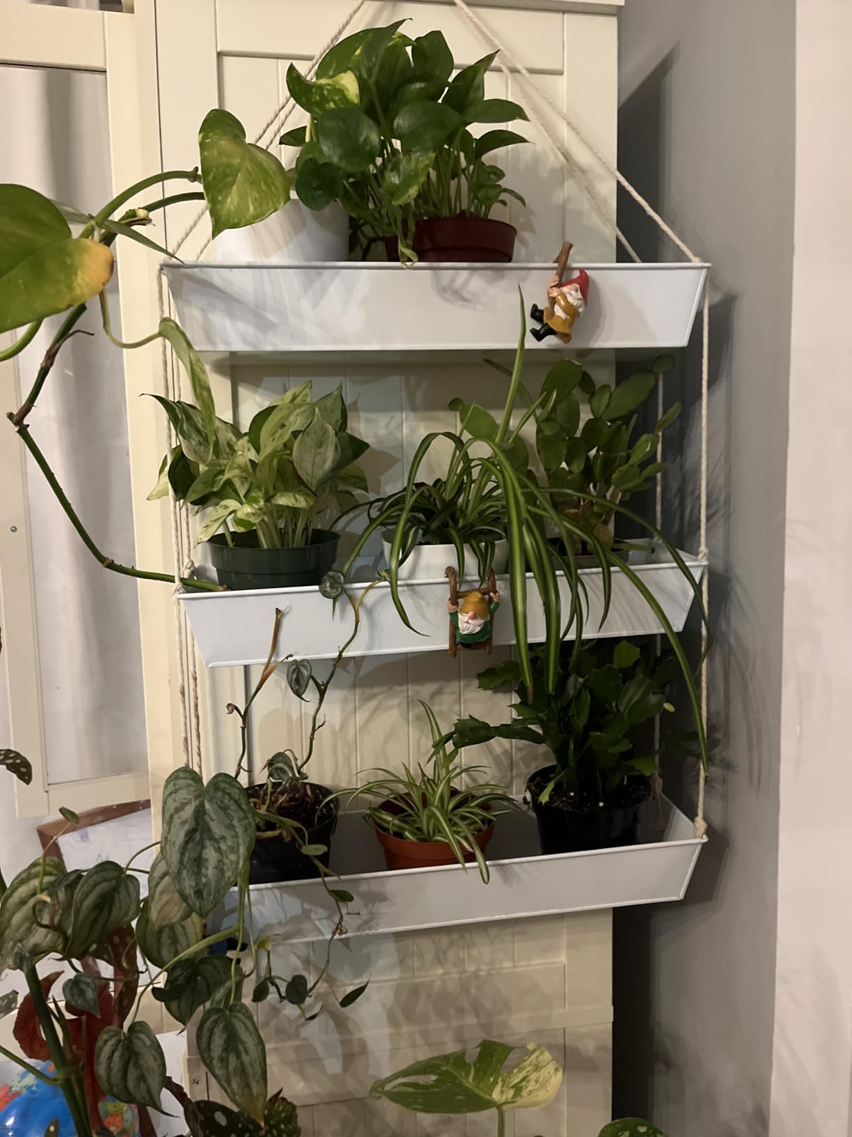 LaLaGreen Boho Wall Planter (16 in, 3 Tier) White Succulent Herb Garden customer photo 2