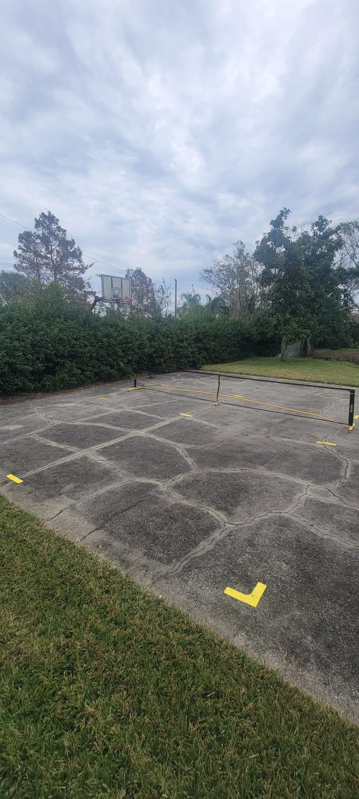 Pickleball Net Set, Pickleball Net on Wheels for Driveway Backyard, 22FT Regular Size, 4 Pickleball Paddles & 6 Balls, 12 Court Markers, 1 Carry Bag, Pickleball Set for Indoor Outdoor Play customer photo 2