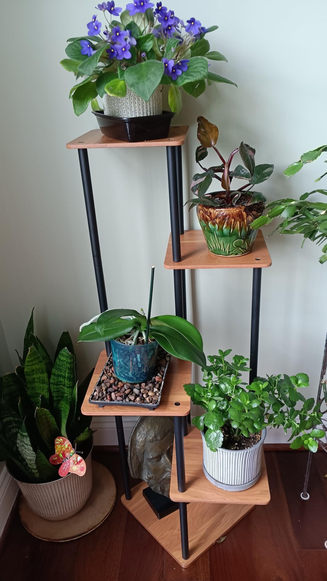 AZERPIAN 5 Tier Tall Plant Stand Indoor Corner Tiered Shelf Metal MDF Board | Sturdy Metal Frame, Space-saving Tiered Design Display Multiple Plants, Modern Style for Home, Balcony, Office Black+Rustic Brown customer photo 2