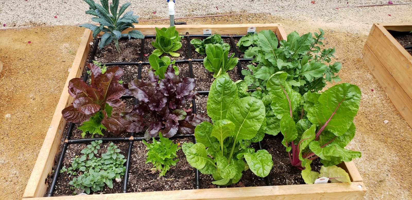 Garden Grid 3x6 | Raised Bed Watering System | Prebuilt Irrigation customer photo 1