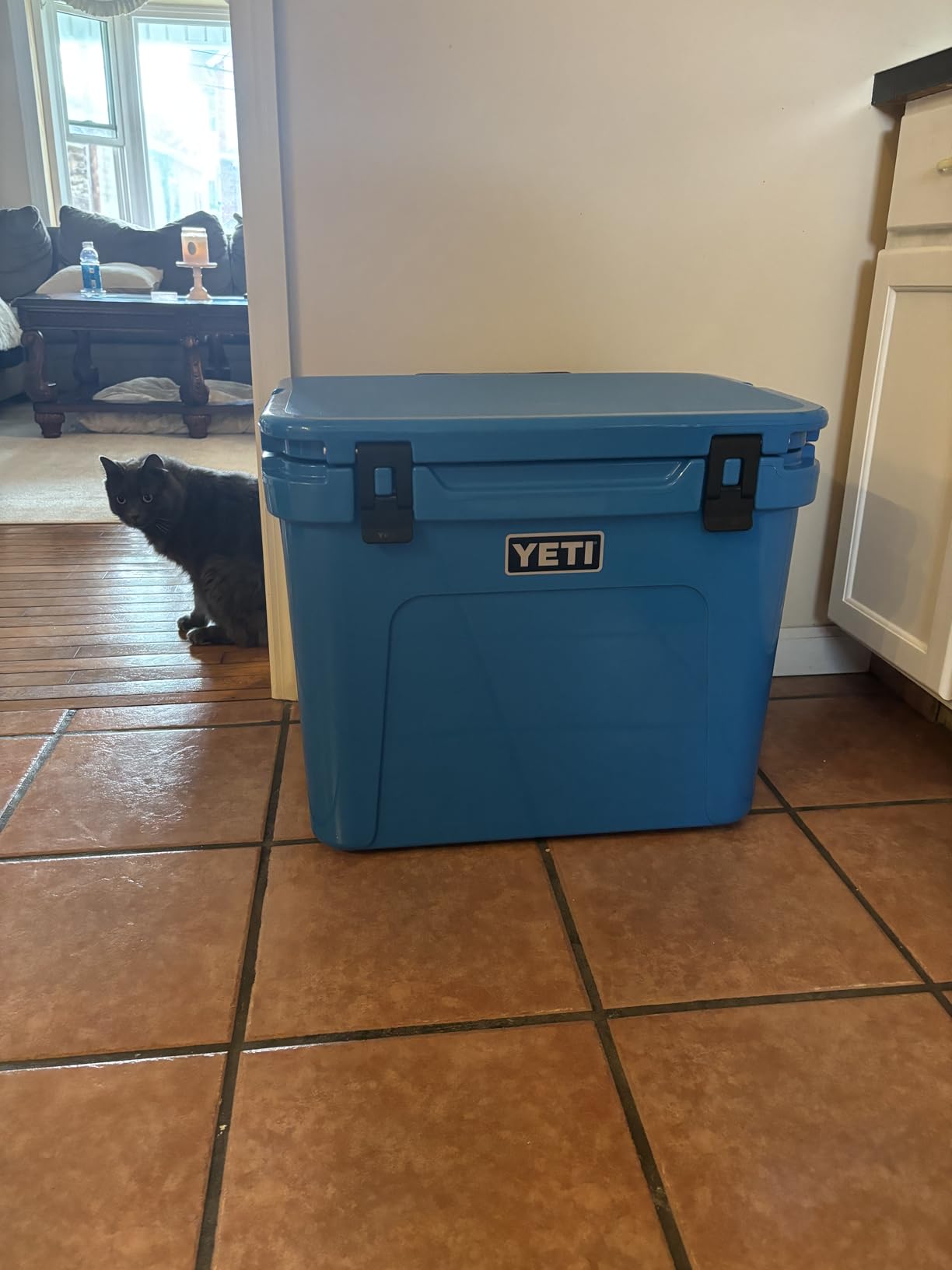 YETI Roadie 60 Wheeled Cooler with Retractable Periscope Handle customer photo 1