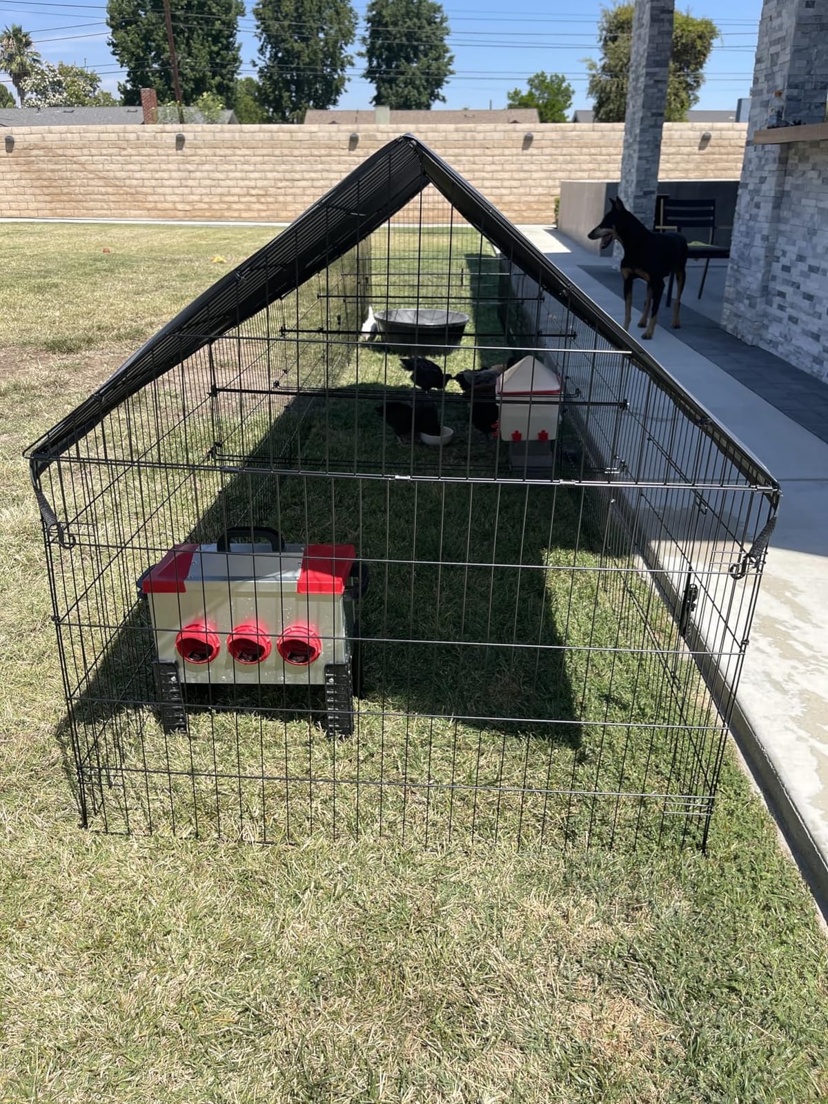 Chicken Coop, 86