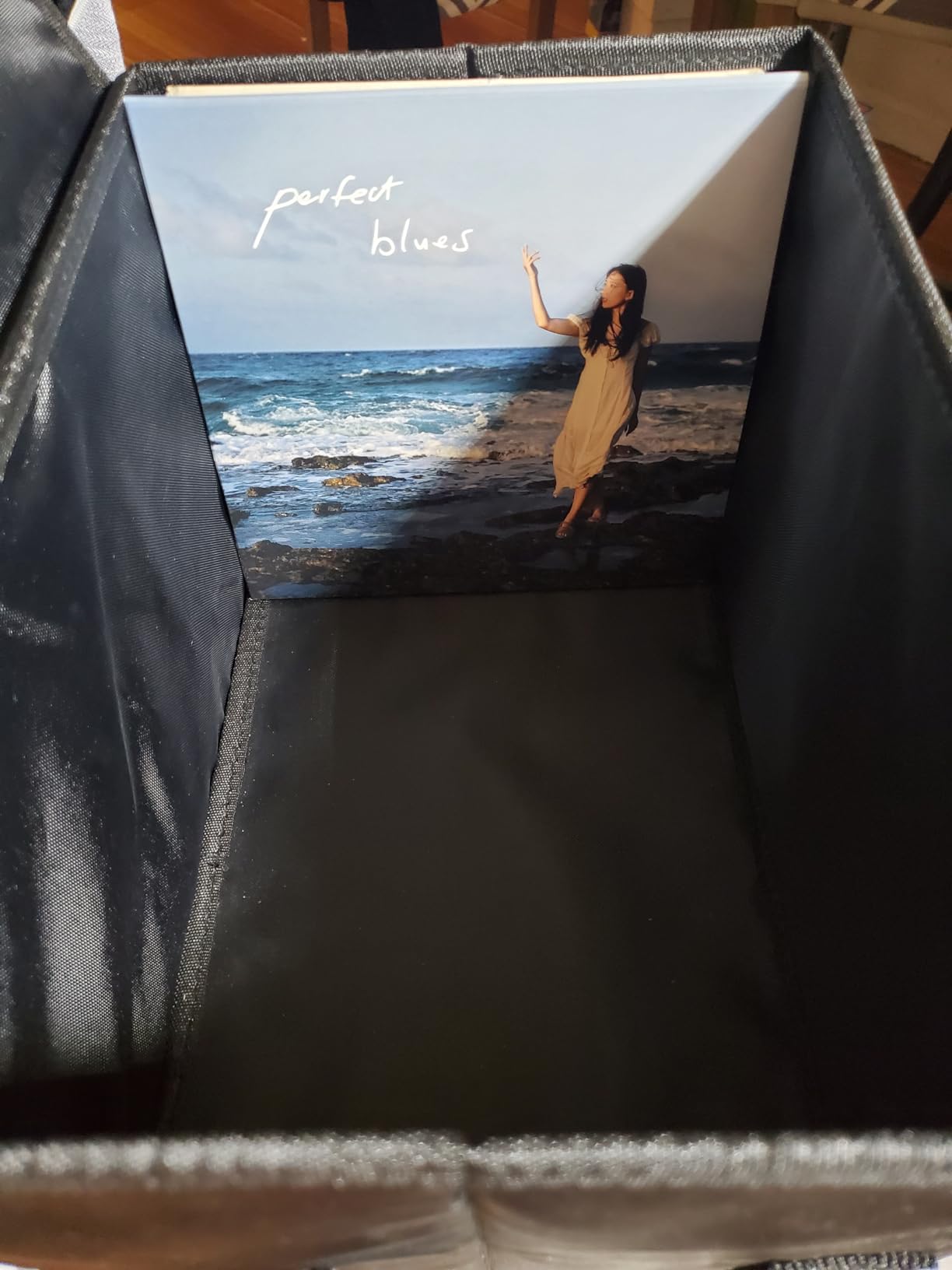 UENTIP Vinyl Record Storage Box for 12-inch Records Crate Holds up to 90 Records customer photo 2