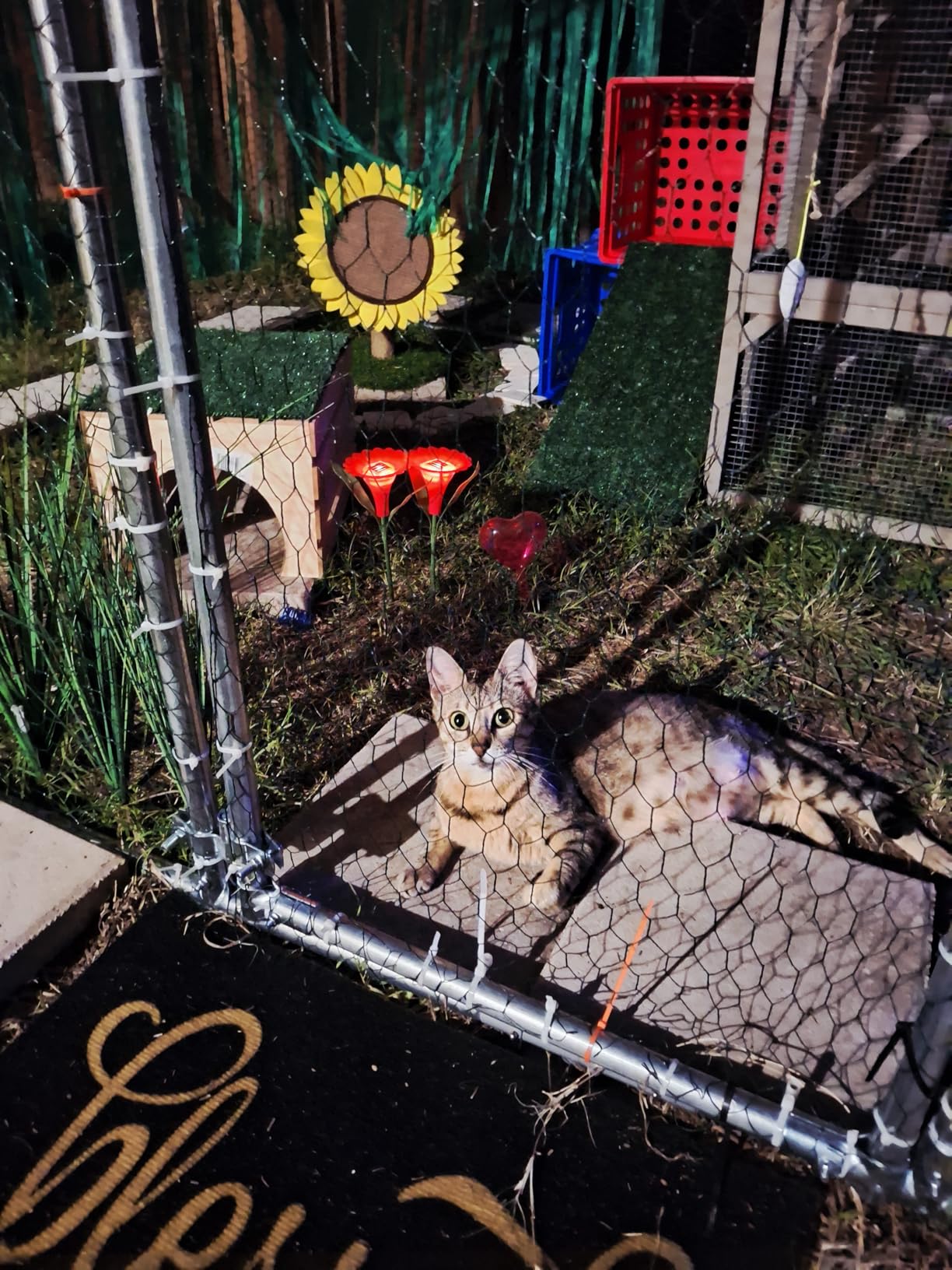 Large Metal Chicken Coop Round Top Upgrade Tri-Supporting Wire Mesh Chicken Run, Chicken Pen with Water-Resistant and Anti-UV Cover, Duck Rabbit House Outdoor (19'L x 9'W x 6.5'H) customer photo 2