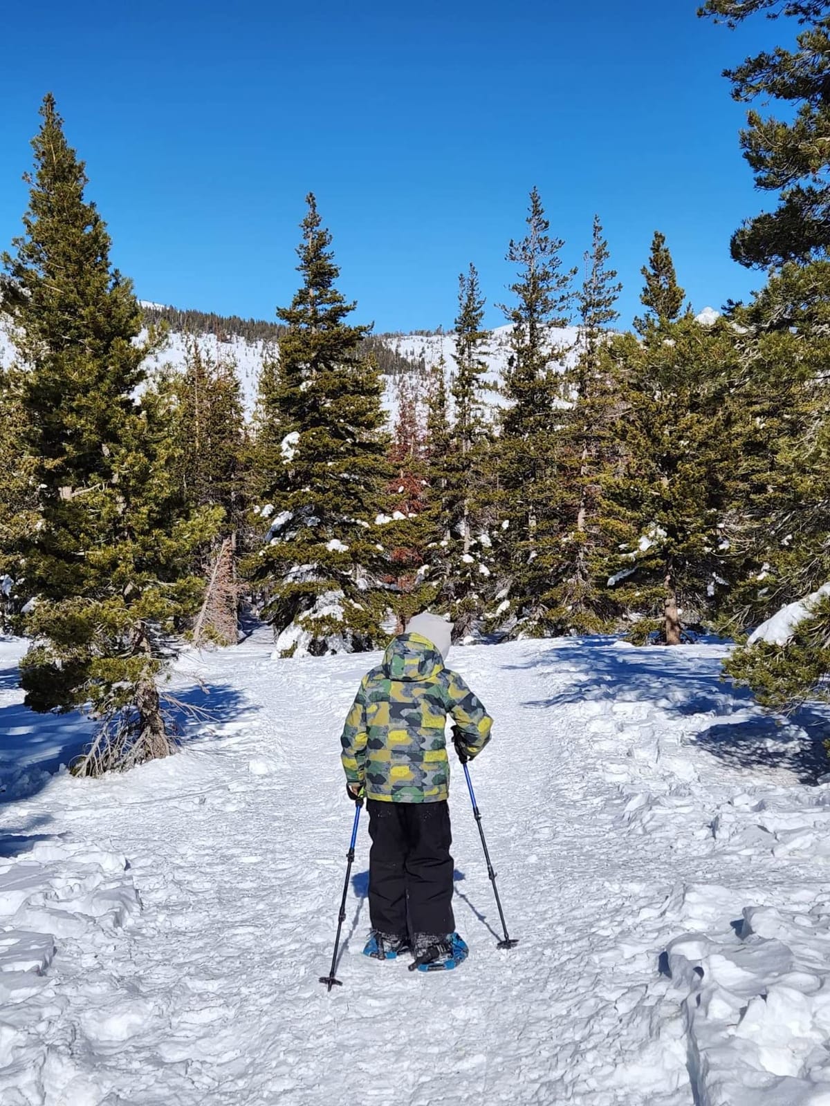 Retrospec Drifter Kids Snowshoes Bundle with Adjustable Trekking Poles - Lightweight Aluminum Hiking Sticks Collapsible for Boys & Girls All Terrain - Walking Sticks with Carrying Bag customer photo 1