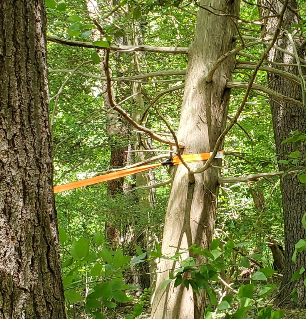 2”x10' Sturdy Lift Sling Strap, 18800lbs Heavy Duty Lifting Web Sling—2 PCS customer photo 2
