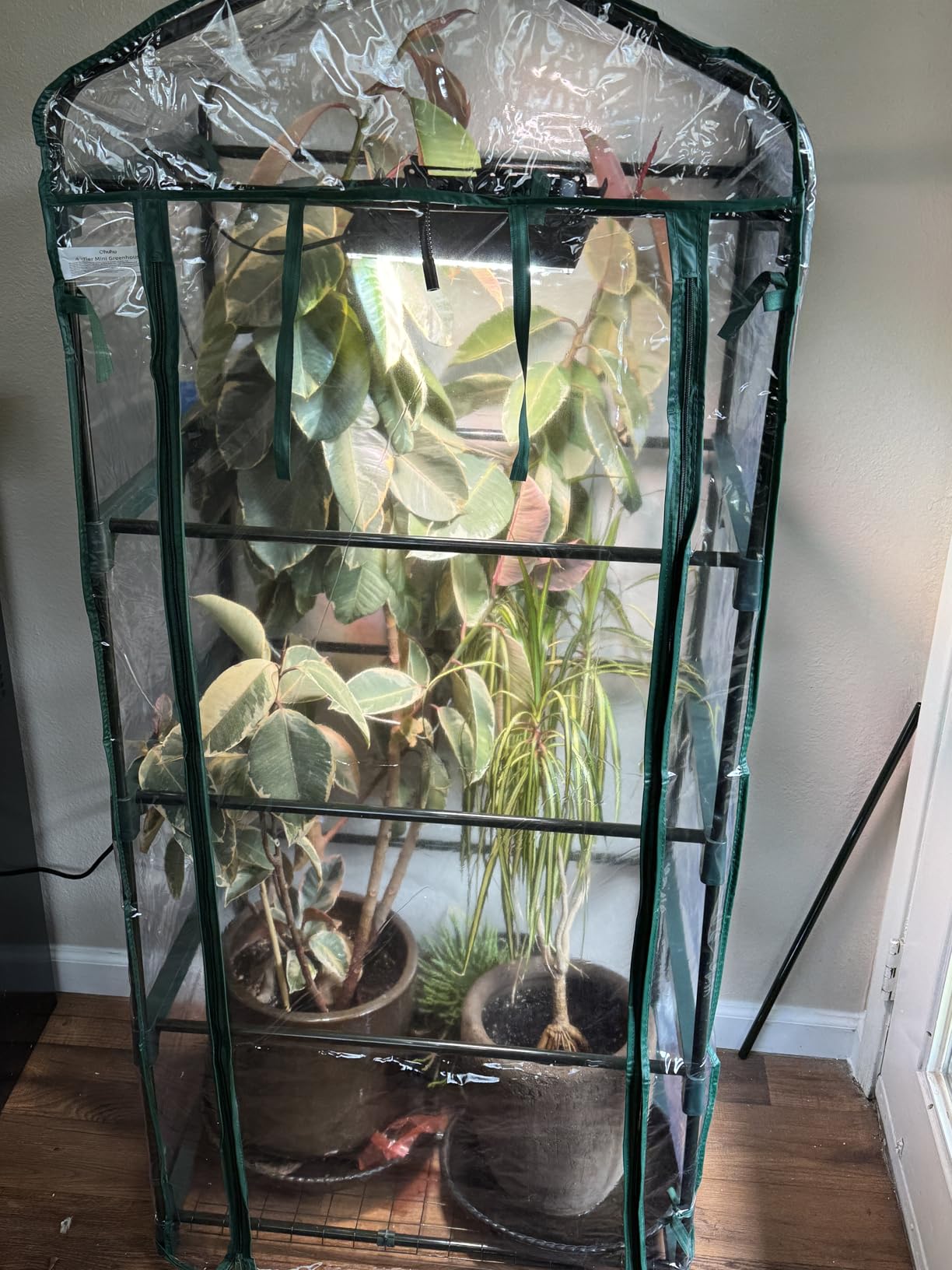 Mini Greenhouse for Outdoors Indoor: 27 x 19 x 62-Inch Ohuhu Small Green House with 4 Tier Shelves, Portable Plastic Greenhouses with Heavy Duty Transparent PVC Cover for Seedling Patio Porch Balcony customer photo 2