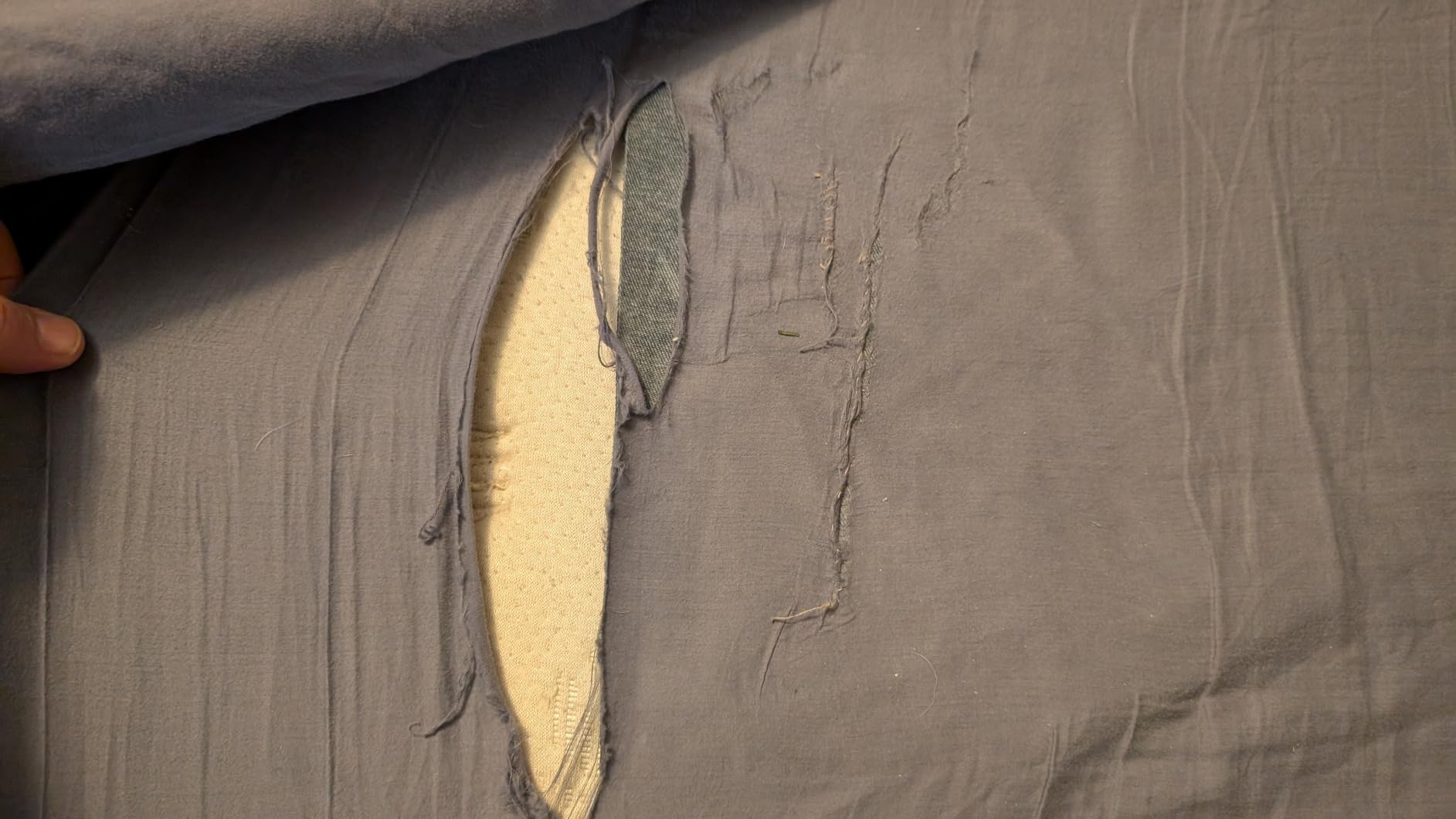 BOLL & BRANCH Percale Hemmed Sheet Set, King, White customer photo 2
