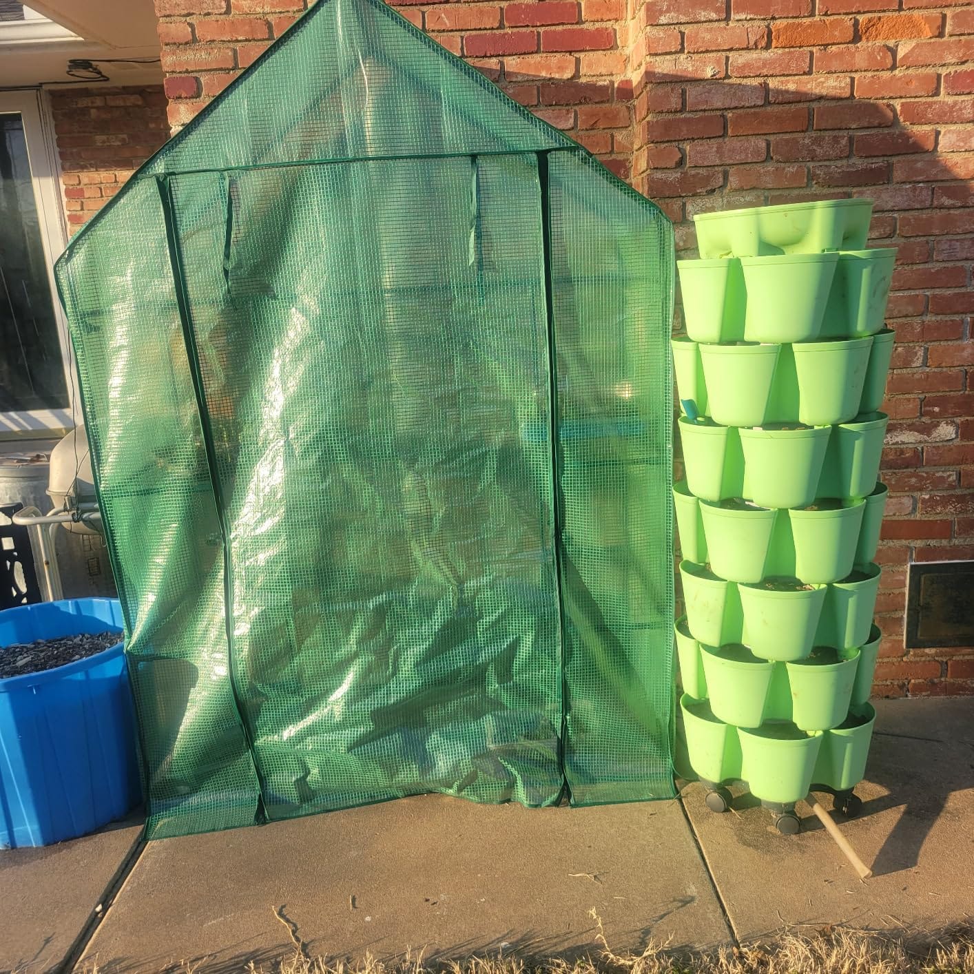56x55x78 Walk-in Greenhouse for Outdoors, 3-Tier Plant House with 8 Shelves | 8 Shelves, Two Mesh Windows, Roll-Up Door, PE Cover, 16mm Steel Frame, Stakes and Ropes for Seedlings and Seasonal Protection customer photo 2