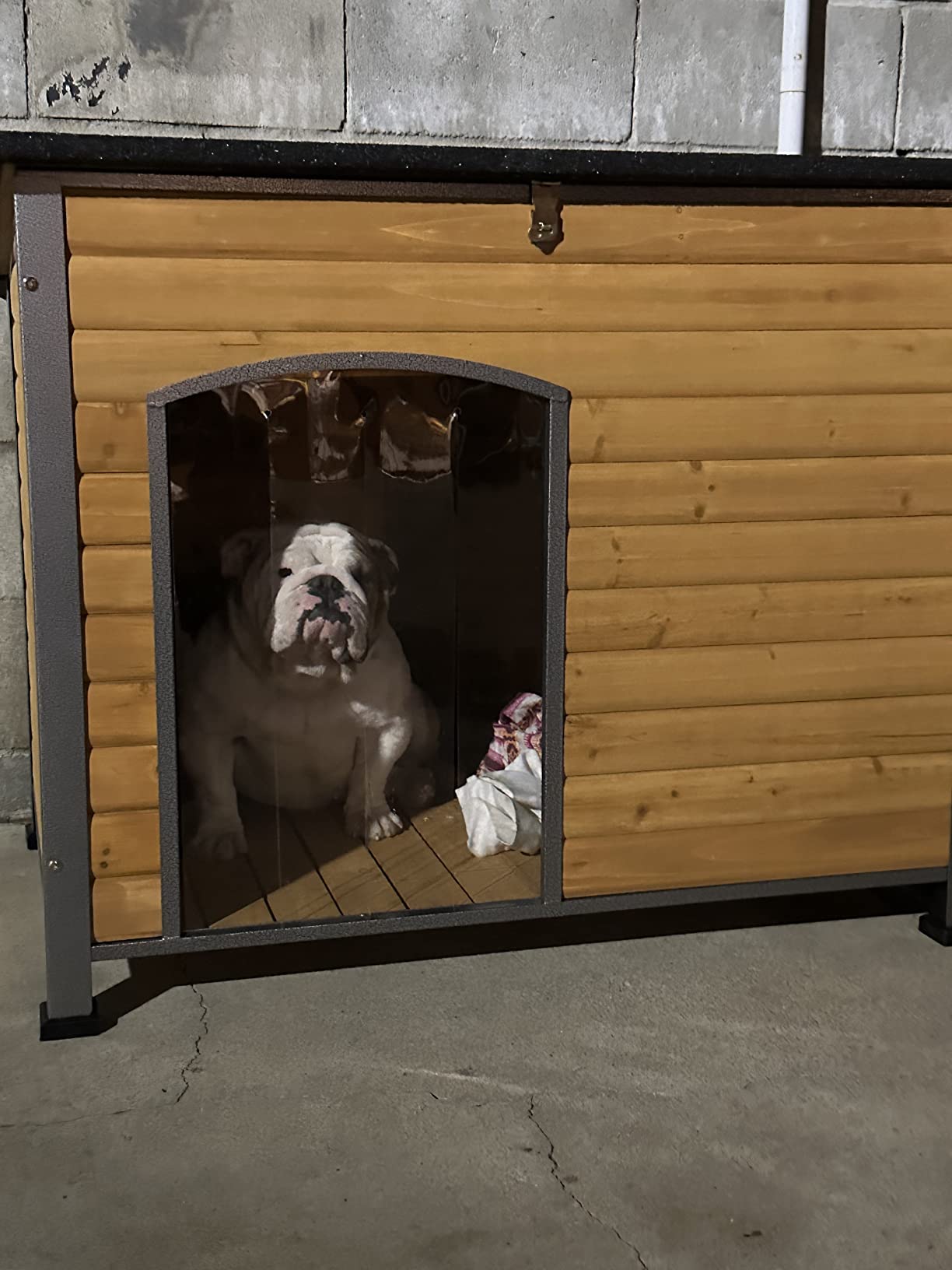 Aivituvin Insulated Dog House Outdoor & Indoor Wooden Dog Kennel for Winter with Raised Feet Weatherproof for Small & Medium & Large Dogs,Unique All-Around Iron Frame… customer photo 2