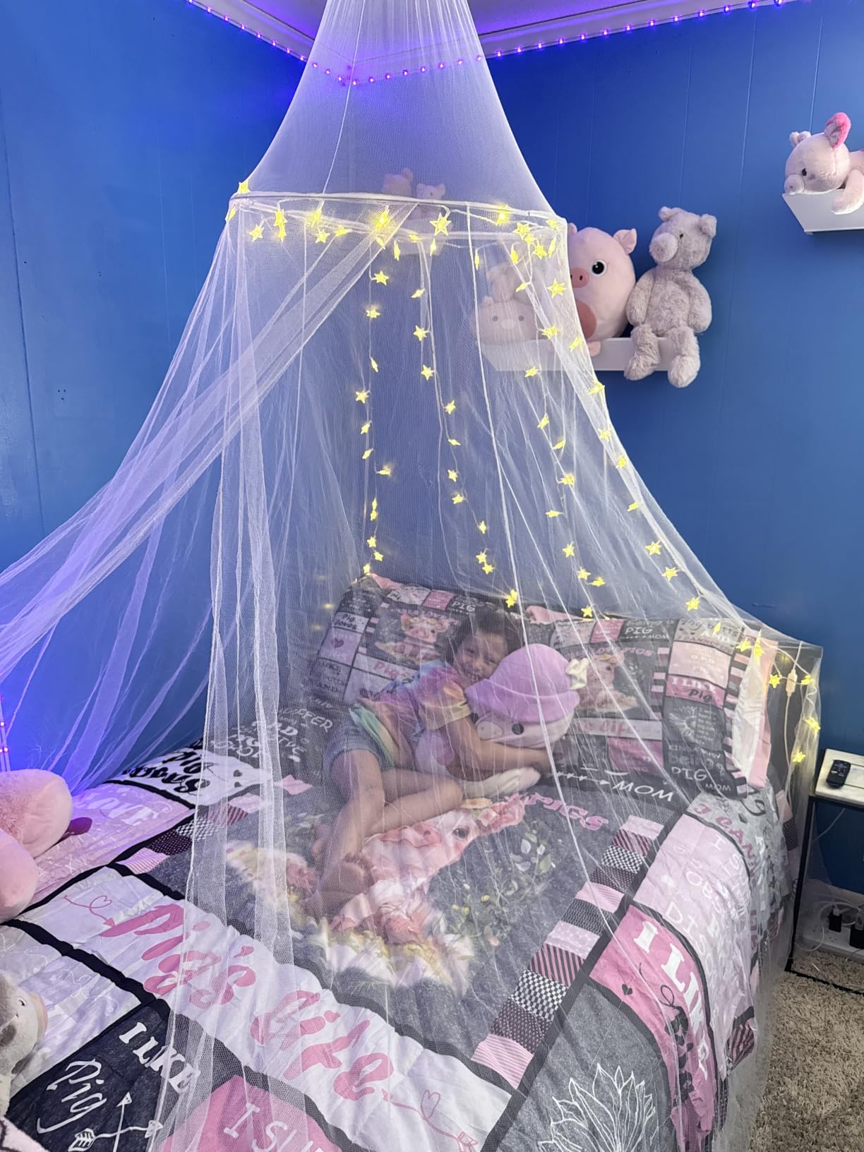 Mosquito Net Bed Canopy for Girls, King Canopy Bed Curtains Full Queen Size from Ceiling, Dome Mosquito Netting Bed Tent Twin Girls Princess Canopy Bed White Decor for Baby Crib, Kid Bed and Adult Beds customer photo 1