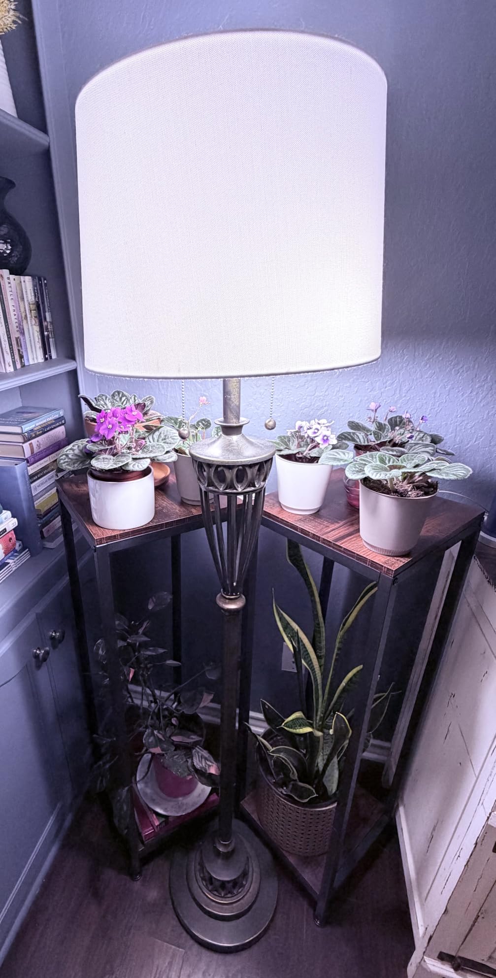 Plant Stand Indoor, Tall Plant stands for Indoor Outdoor Plants, 2 Tier customer photo 2