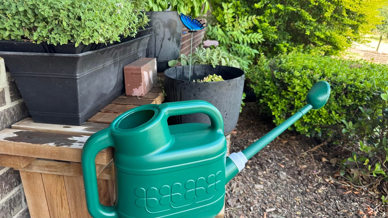 2 Gallon Watering Can, Large Garden Watering Can for Outdoor Plants customer photo 1