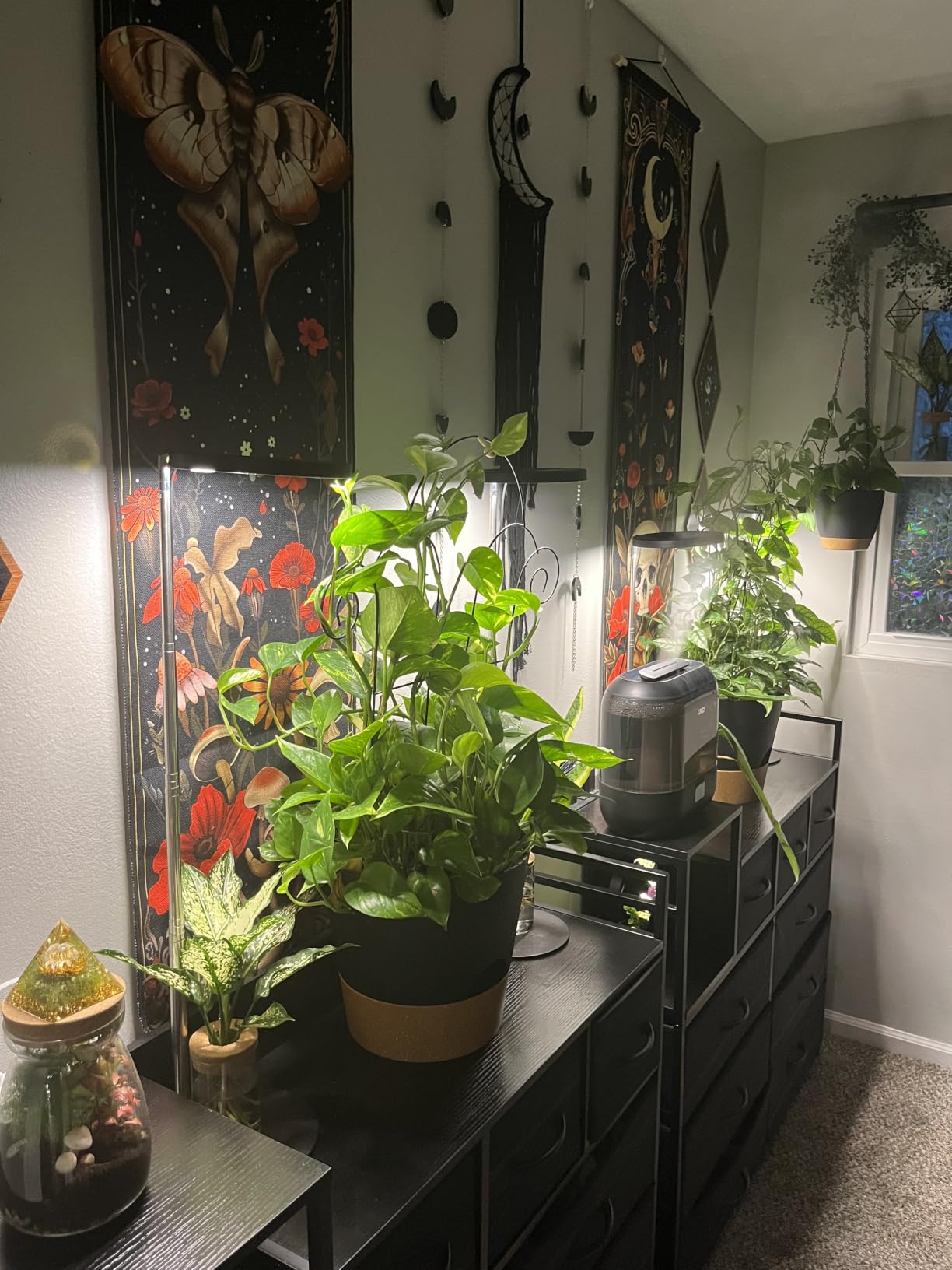 YNNICO Indoor Self Watering Planters with Drainage Holes and Saucers, 8, 7, 6.5, 6, 5.5, 5 Inches, Green, 6 Pots customer photo 2