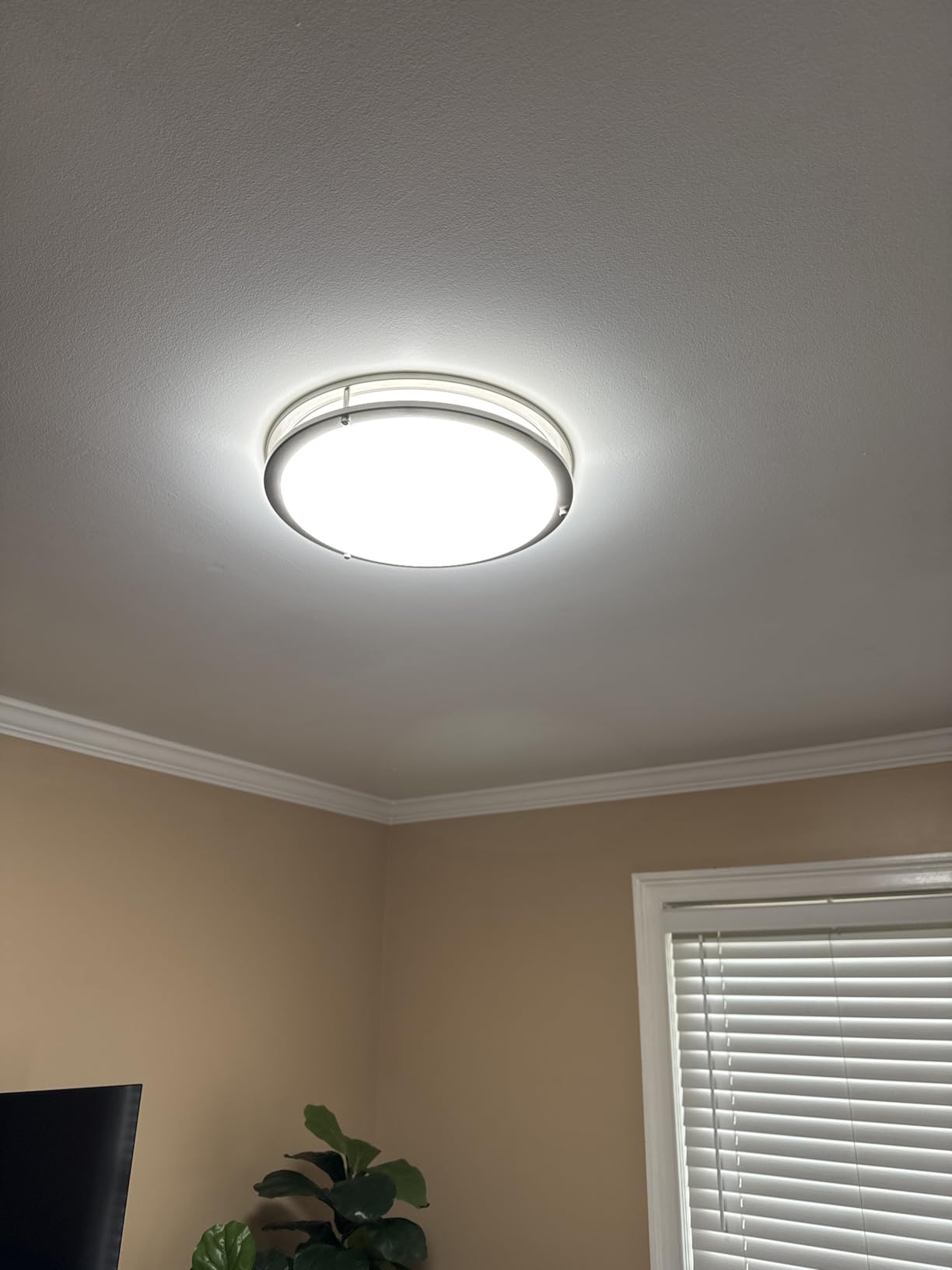 hykolity 16 inch Dimmable LED Flush Mount Ceiling Light Fixture, Brushed Nickel, 36W, 2200LM, 2.7/3/3.5/4K/5K Adjustable, 120° Light Angle, CRI90, Ceiling Lamp for Bedroom, Kitchen, Office, ETL Listed customer photo 1