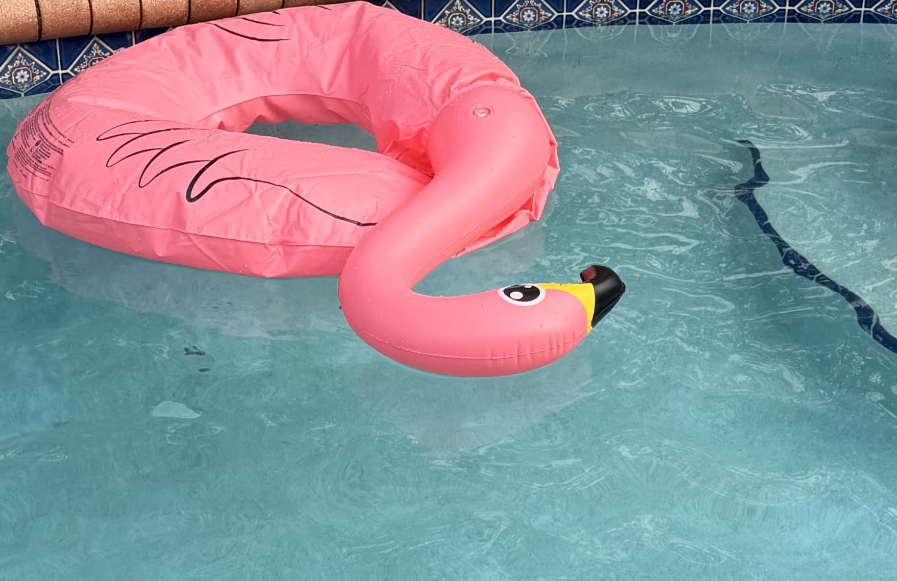 Inflatable Unicorn Flamingo Pool Floats - Jasonwell 2 Pack Pool Floaties Inflatables Rafts for Swimming Pools Tubes for Floating Lake Beach Floaty Swim Rings Pools Party Toys for Adults Kids customer photo 1