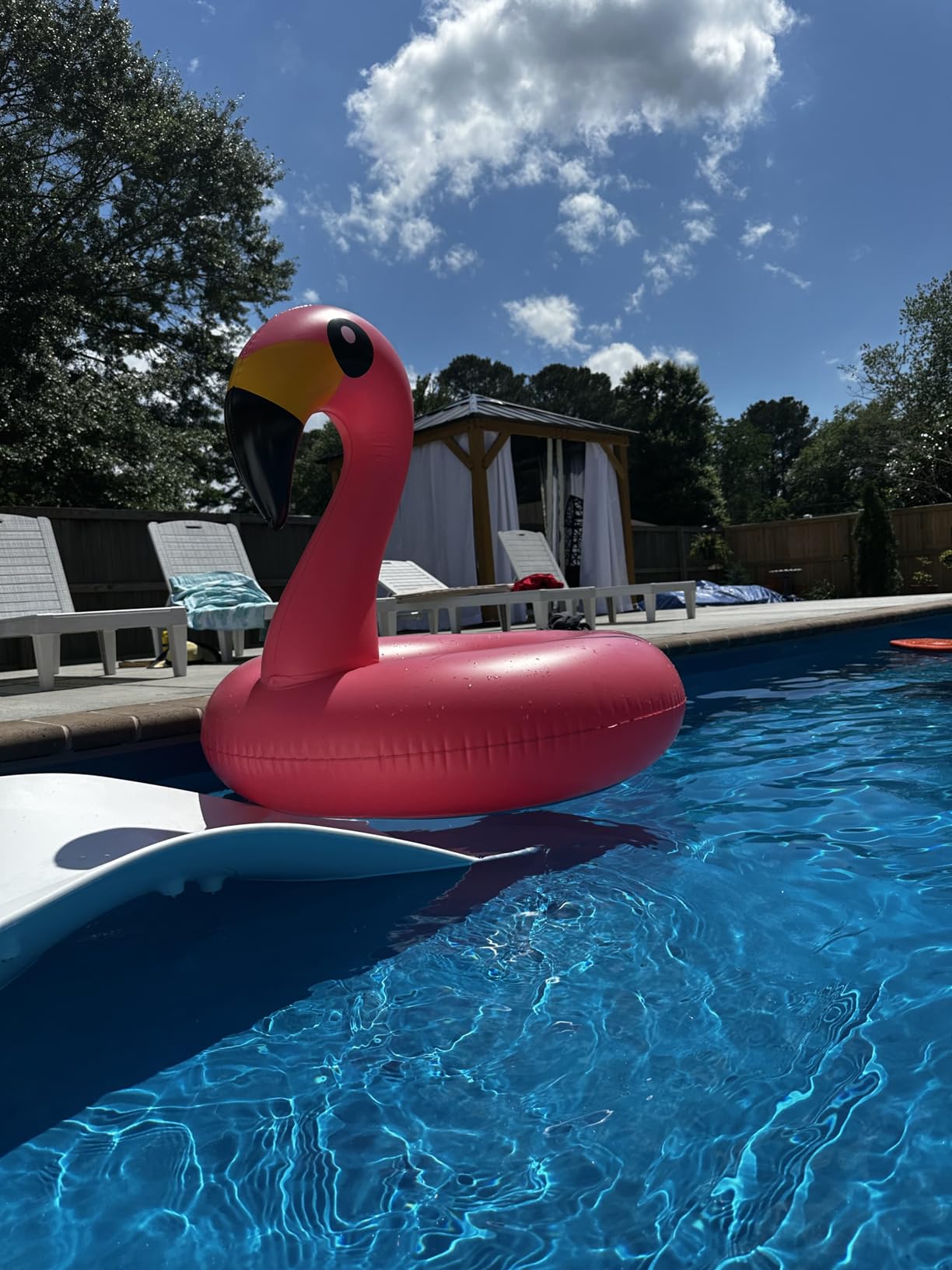Inflatable Unicorn Flamingo Pool Floats - Jasonwell 2 Pack Pool Floaties Inflatables Rafts for Swimming Pools Tubes for Floating Lake Beach Floaty Swim Rings Pools Party Toys for Adults Kids customer photo 2