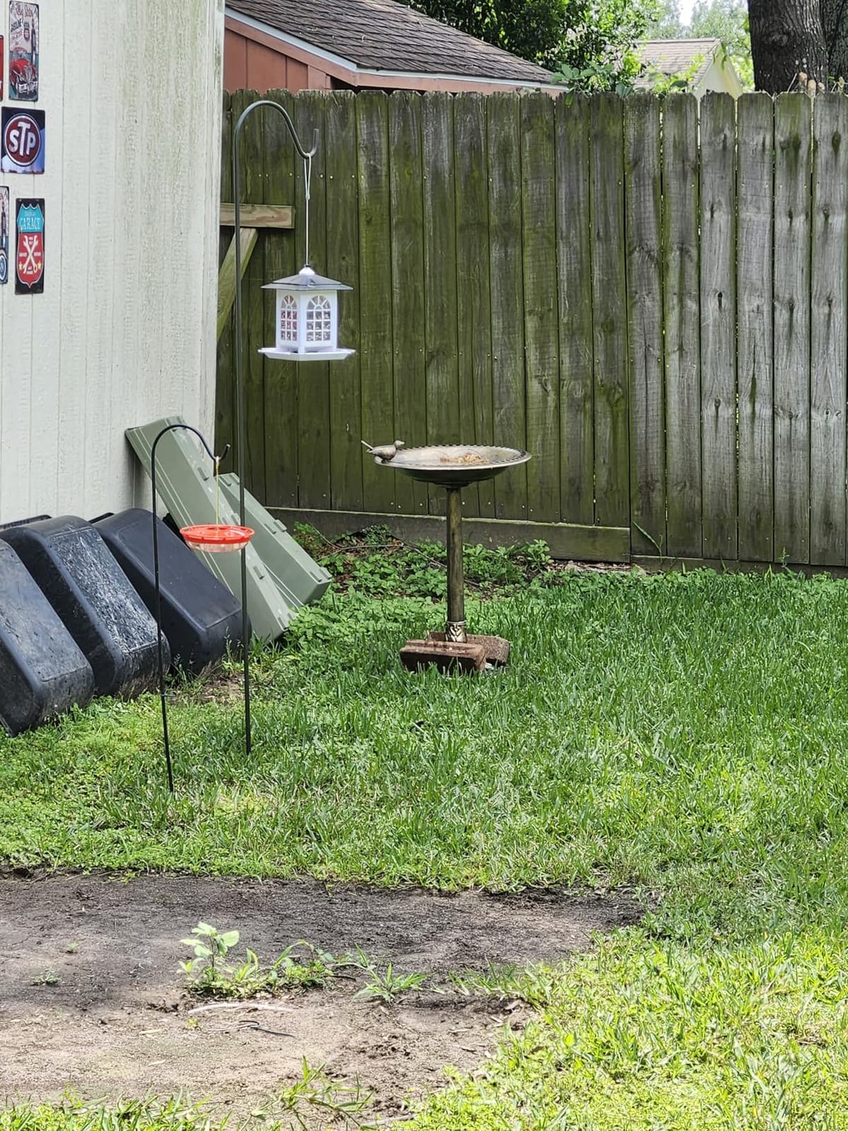 BACKYARD EXPRESSIONS PATIO · HOME · GARDEN 912449-WB Outdoor Garden Bird Bath- Bronze- Weather Resistant Polyresin-30 Inch-Backyard Expressions customer photo 2