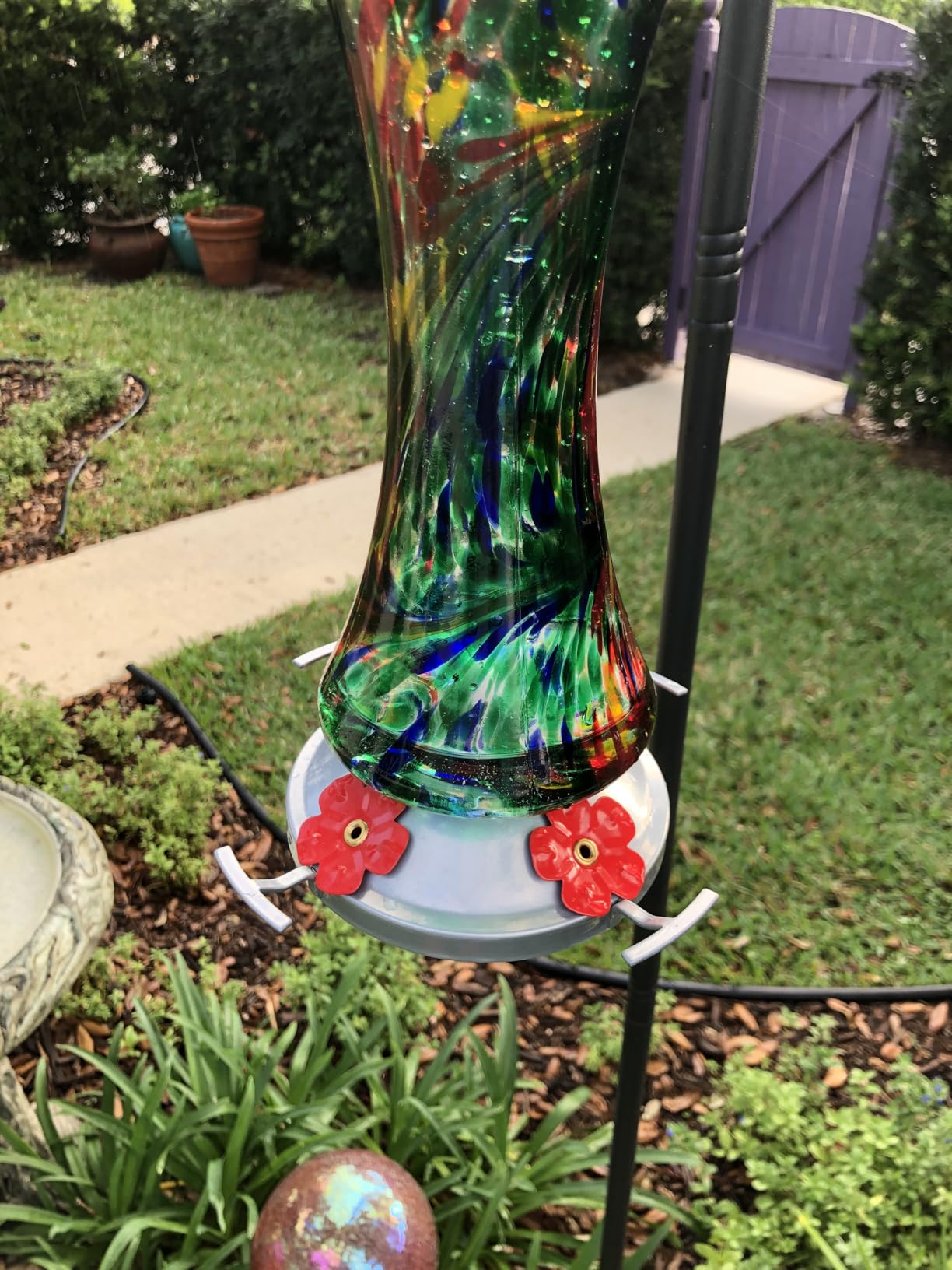 Glass Hummingbird Feeder for Outdoors: Leak Proof Hanging Hummingbirds Present for Women - Ant Moat & Hang Hook Included, Metal Base with 4 Feeding Ports & Perch, 20 Fluid Oz, Best Garden Decor customer photo 1