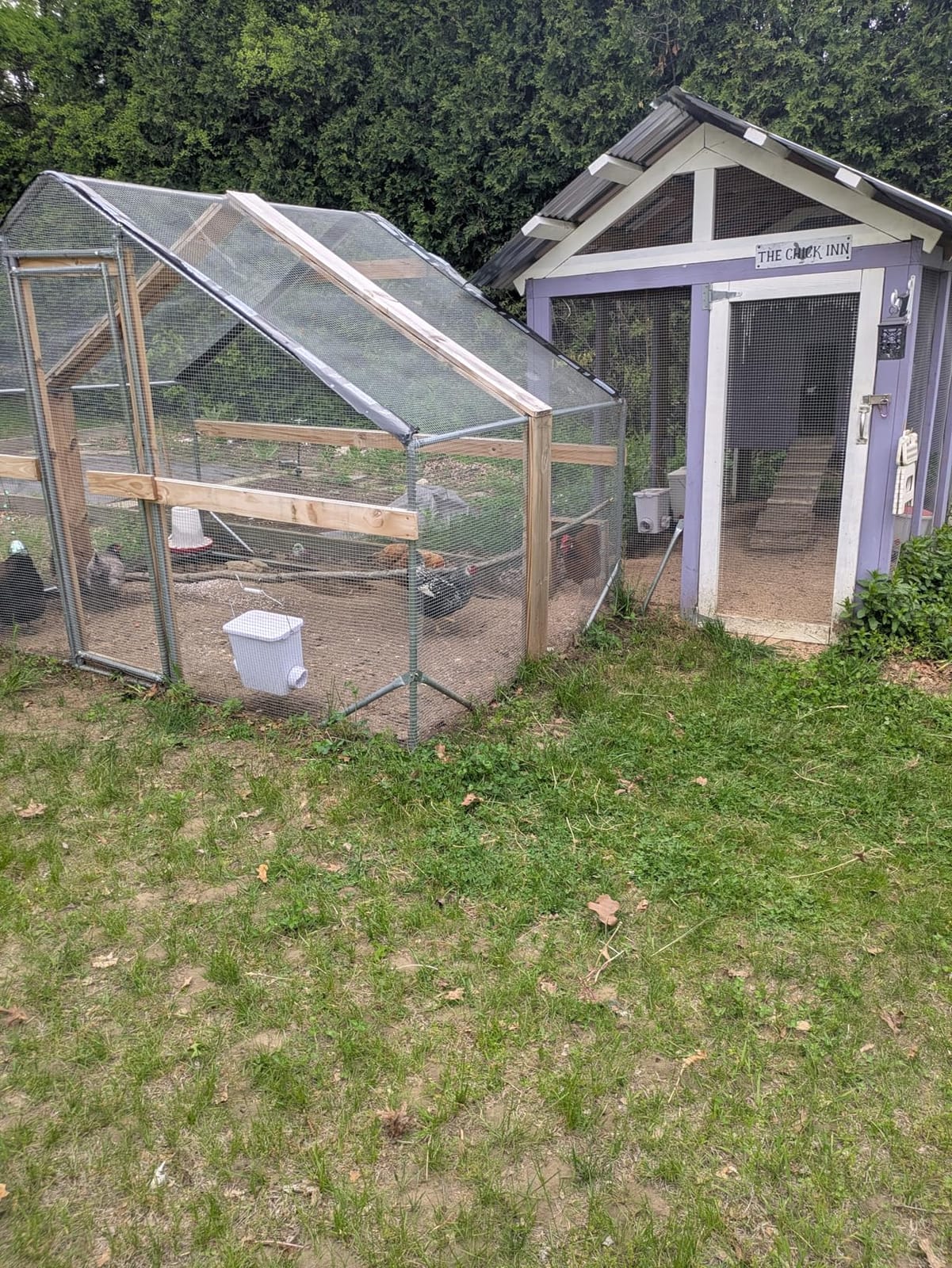 CHIKENCOOP 19.5x9.8x6.5 ft Metal Chicken Coop, Chicken Run with Cover | Three-room walk-in chicken run with waterproof UV-resistant cover, lockable steel door, and PVC-coated wire mesh customer photo 1