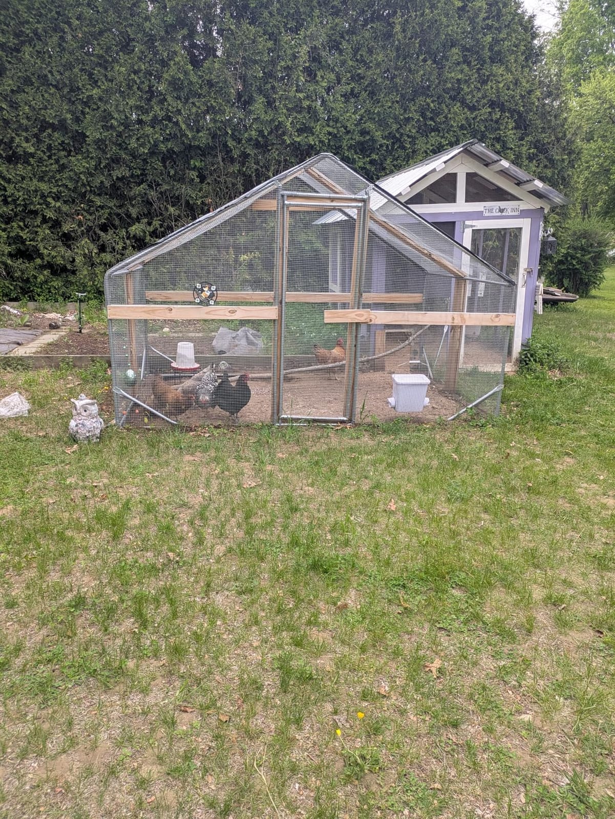 CHIKENCOOP 9.8 x 6.5 x 6.5 ft Metal Chicken Coop, Chicken Run with Cover | Walk-in outdoor enclosure with waterproof UV-resistant cover, reinforced frame, and 47 x 40 in eucalyptus perch customer photo 1
