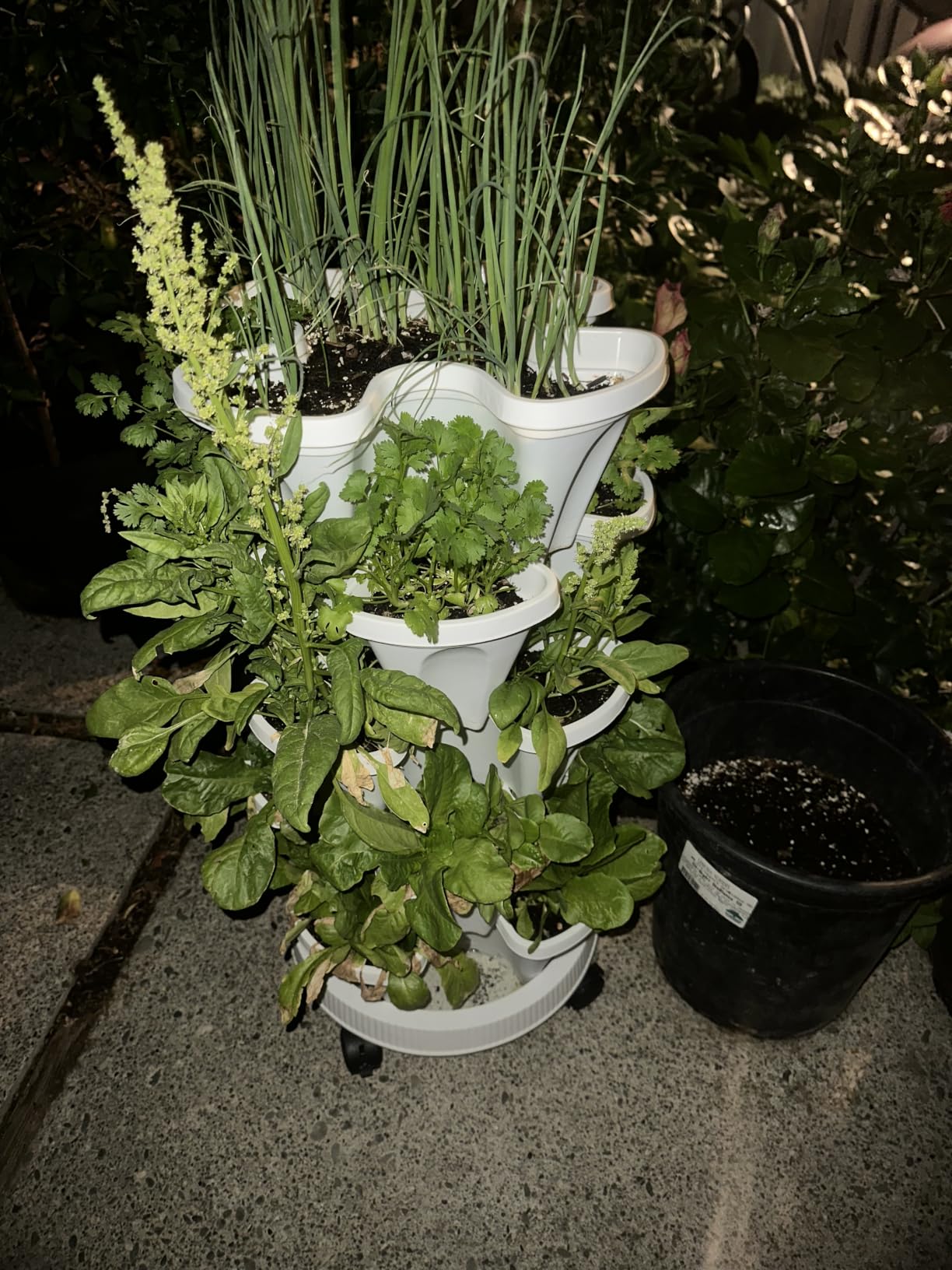GameXcel Vertical Planter Tower - 5 Tier Stackable Garden Planters with Wheels and Tools Plant Pots for Strawberry Herb Flower and Vegetable Indoor Outdoor Use Gray customer photo 2