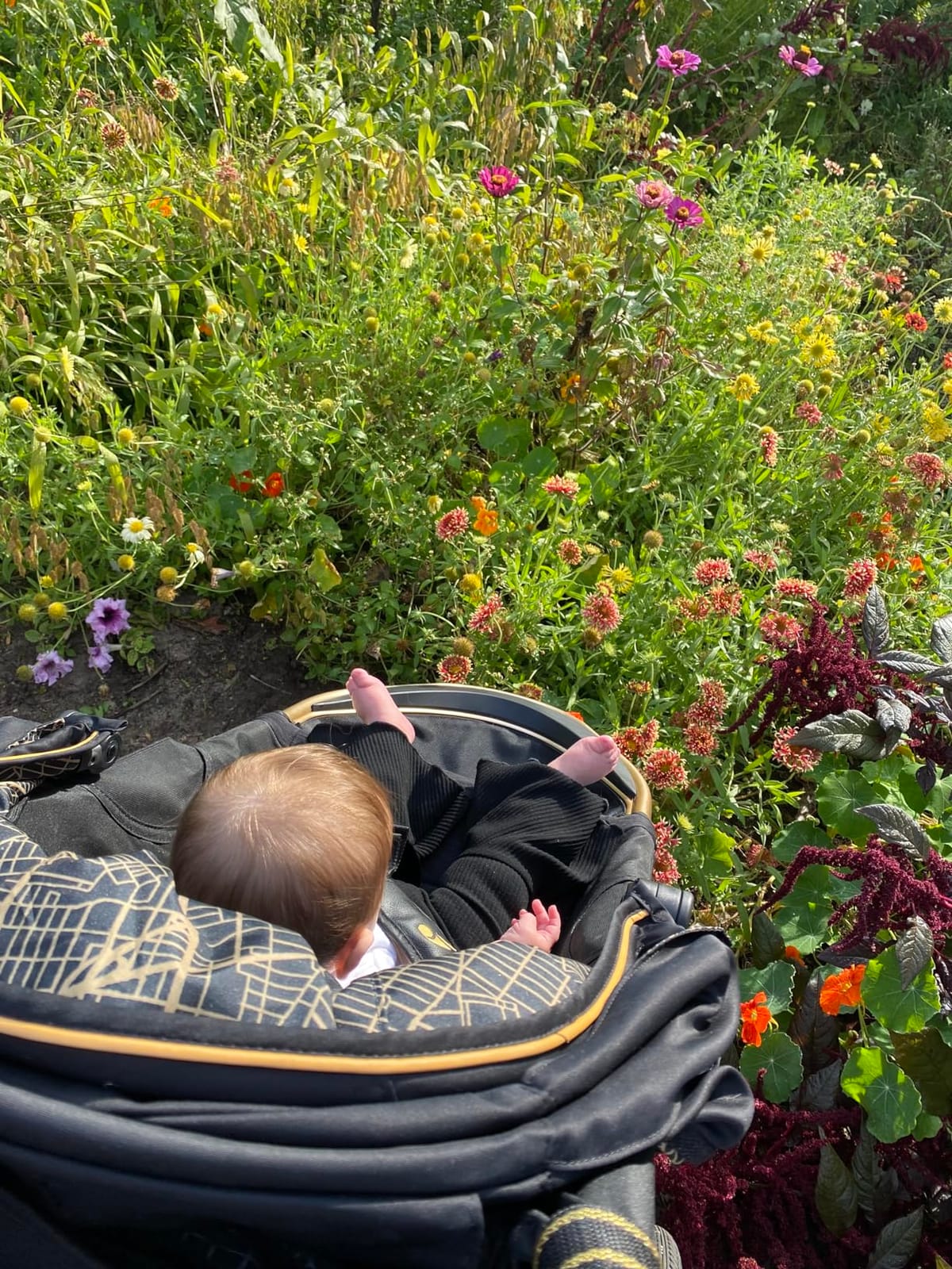 Baby Jogger® Summit X3 Double Jogging Stroller, Side by Side Double Stroller with Smooth Ride for Walking/Jogging, Compact Fold, All-Terrain Air Filled Tires, and All-Wheel Suspension, Midnight Black customer photo 2
