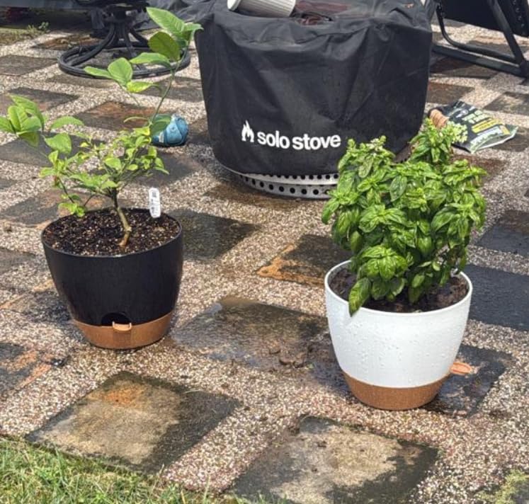 UOUZ 12 inch Large Self Watering Pots, Plastic Planters with 60oZ Removable Deep Reservoir and Multi Mesh Drainage Holes for Indoor Outdoor Garden Plants and Flowers, Black customer photo 2