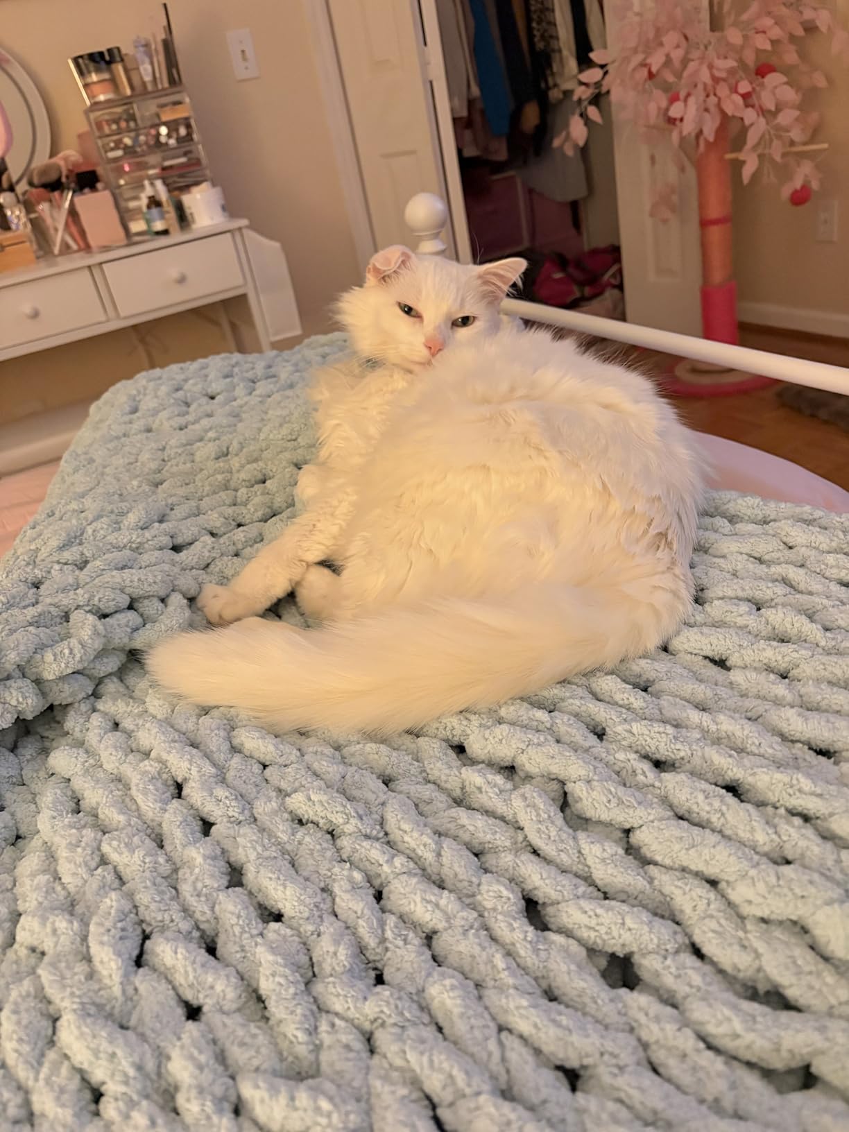 Bigacogo Chunky Knit Throw Blanket for Couch, 40x60 inches, Beige | Hand Knit with Jumbo Chenille, Soft Breathable Cable Knit for Sofa Bed Living Room, Machine Washable, Gift for Mom Friend customer photo 1