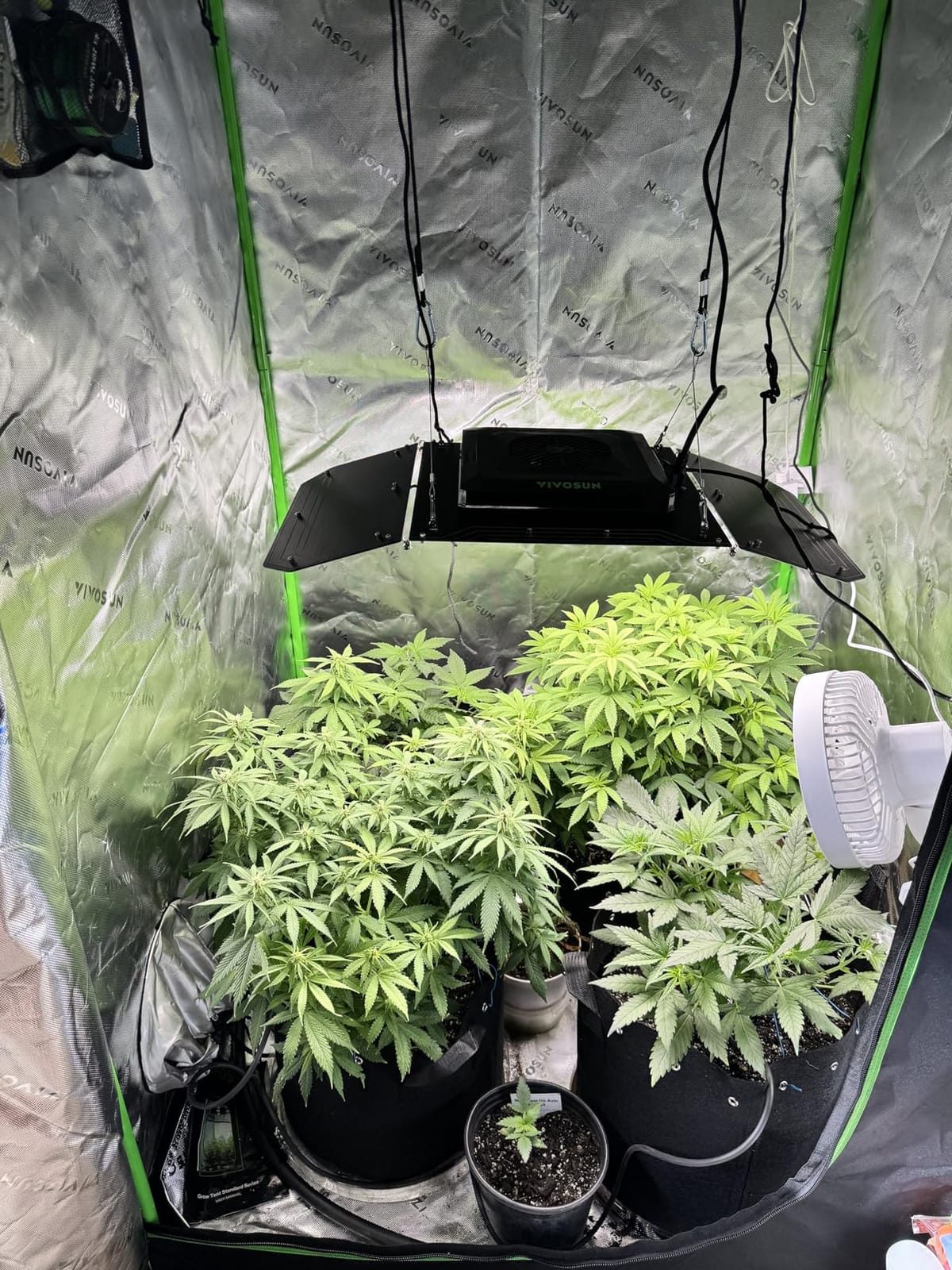 VIVOSUN Smart Grow Tent Kit 4x4, 4-Plant WiFi-Integrated Grow System customer photo 1