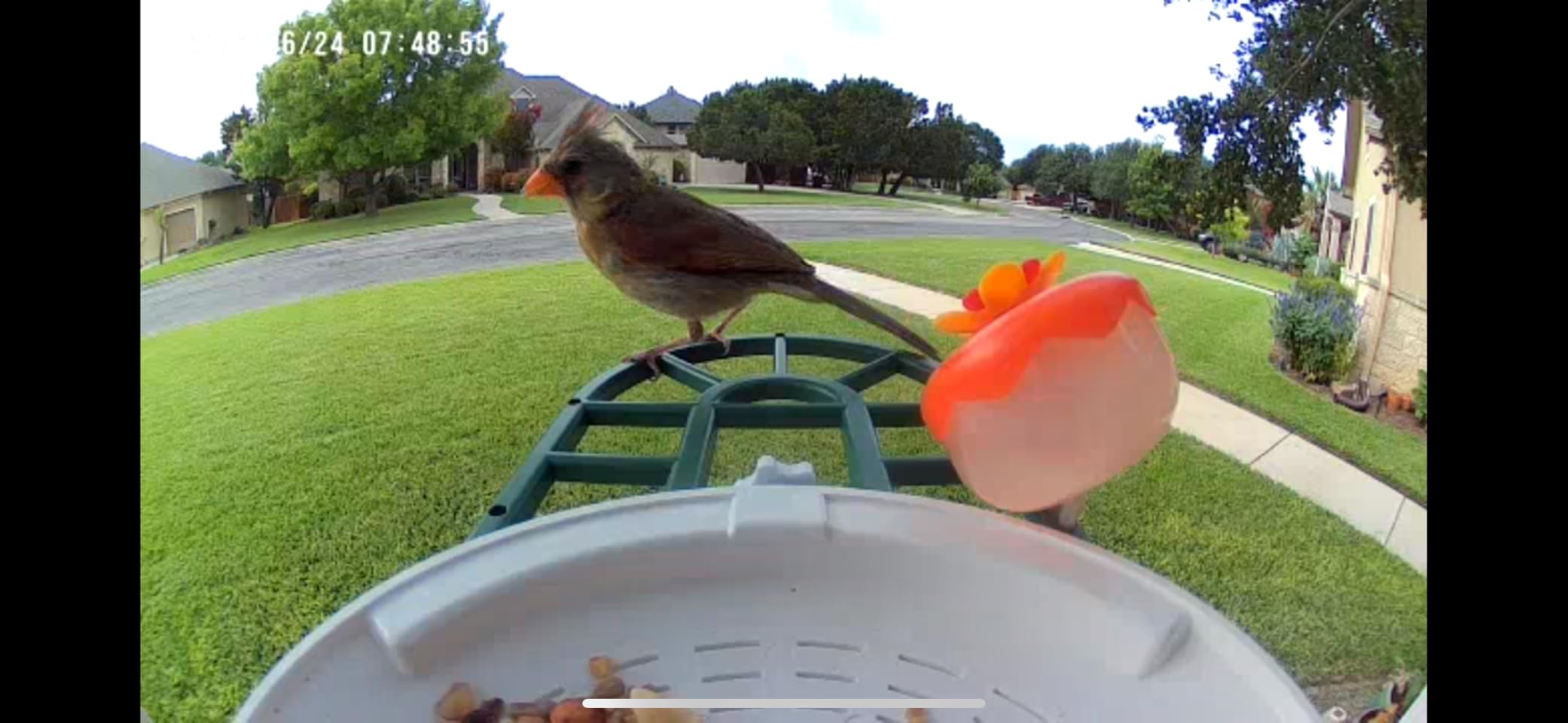 HARYMOR Smart Bird Feeder with Camera - AI Identify Birds Species, Solar Powered Bird House with Cam, 2L Large Capacity, 2K HD Video Live Stream, Instant Arrival Alerts - Green customer photo 1