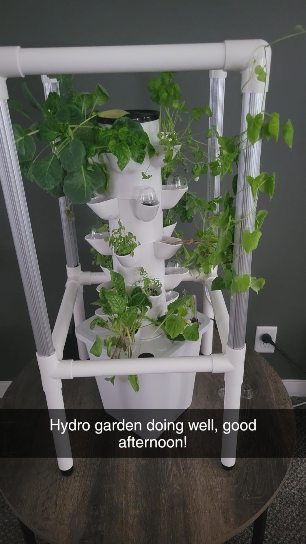 SJZX Hydroponics Growing System, Hydroponic Tower with Full-Spectrum Grow Lights, 5/14Tiers Indoor Outdoor Garden Planter, Vertical Home Gardening Germination Kits for Vegetables, Fruits, Herb (5L6H) customer photo 2