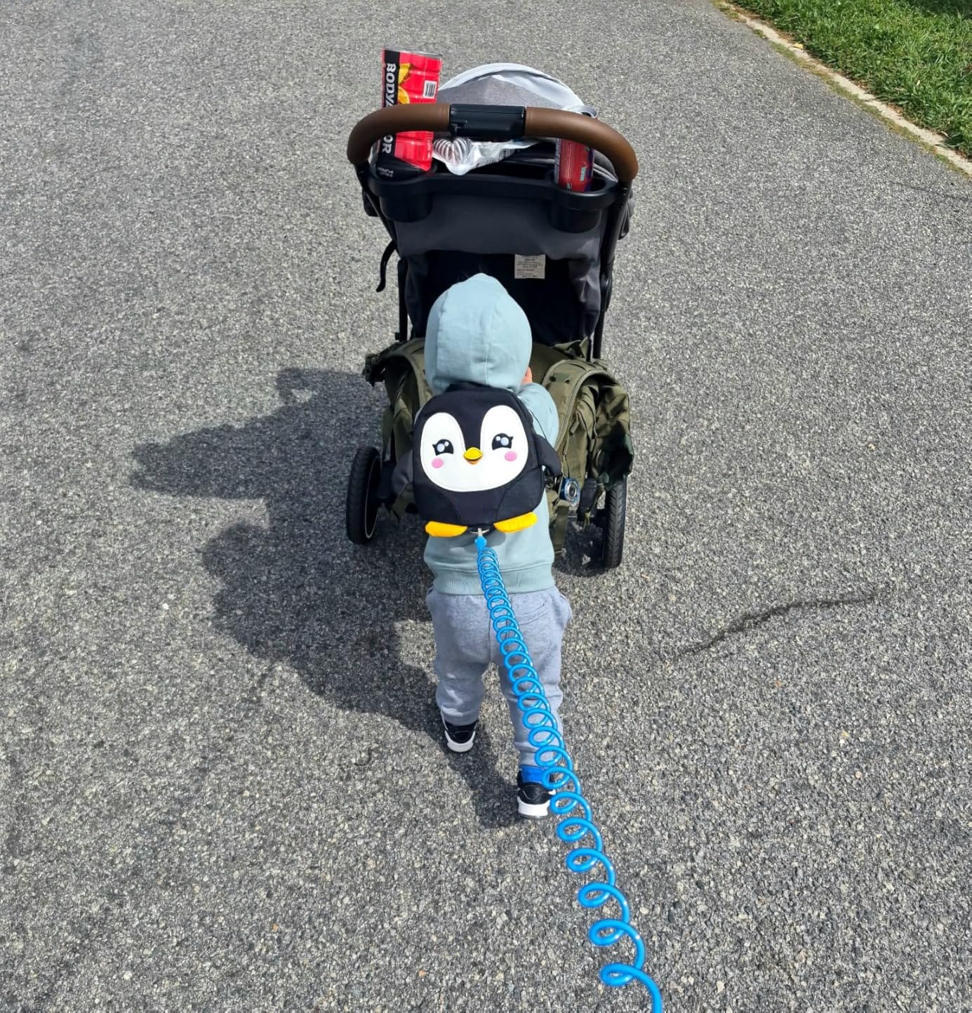 Accmor Toddler Harness Backpack Leash, Cute Dinosaur Backpacks with Anti Lost Wrist Link, Cute Mini Child Backpack Wristband Tether Strap and Protection Leashes for Boys Girls Aged 1-3 Years customer photo 1