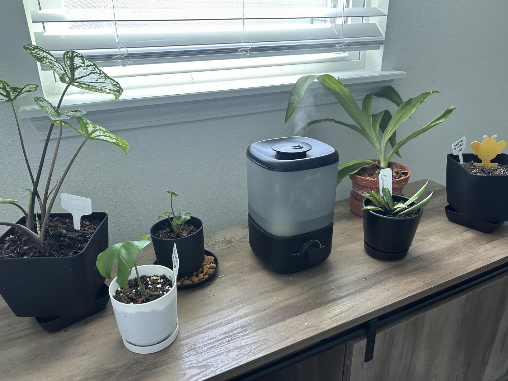 LEVOIT Humidifiers for Bedroom,Top-Fill Ultrasonic Cool Mist Humidifier customer photo 2