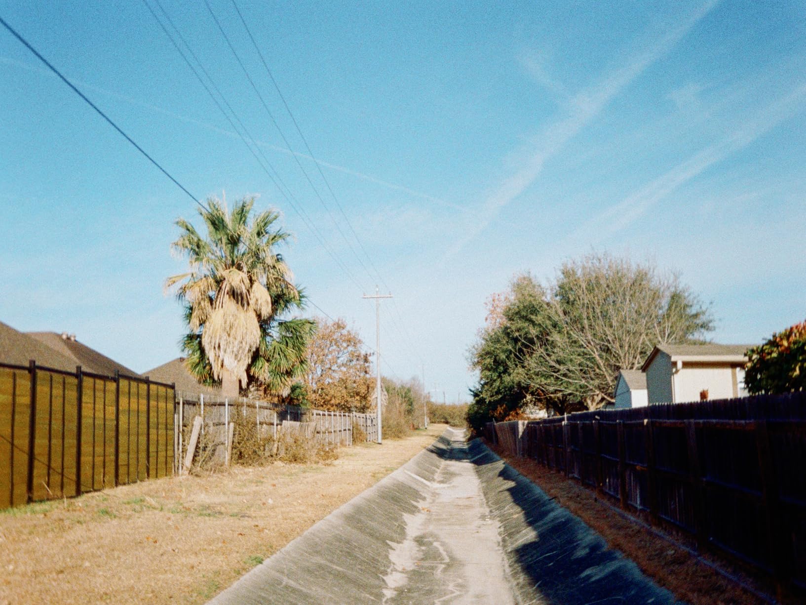 Kodak EKTAR H35N Half Frame Film Camera, 35mm, Reusable, Focus-Free, Bulb Function, Built-in Star Filter (Striped Green) customer photo 2