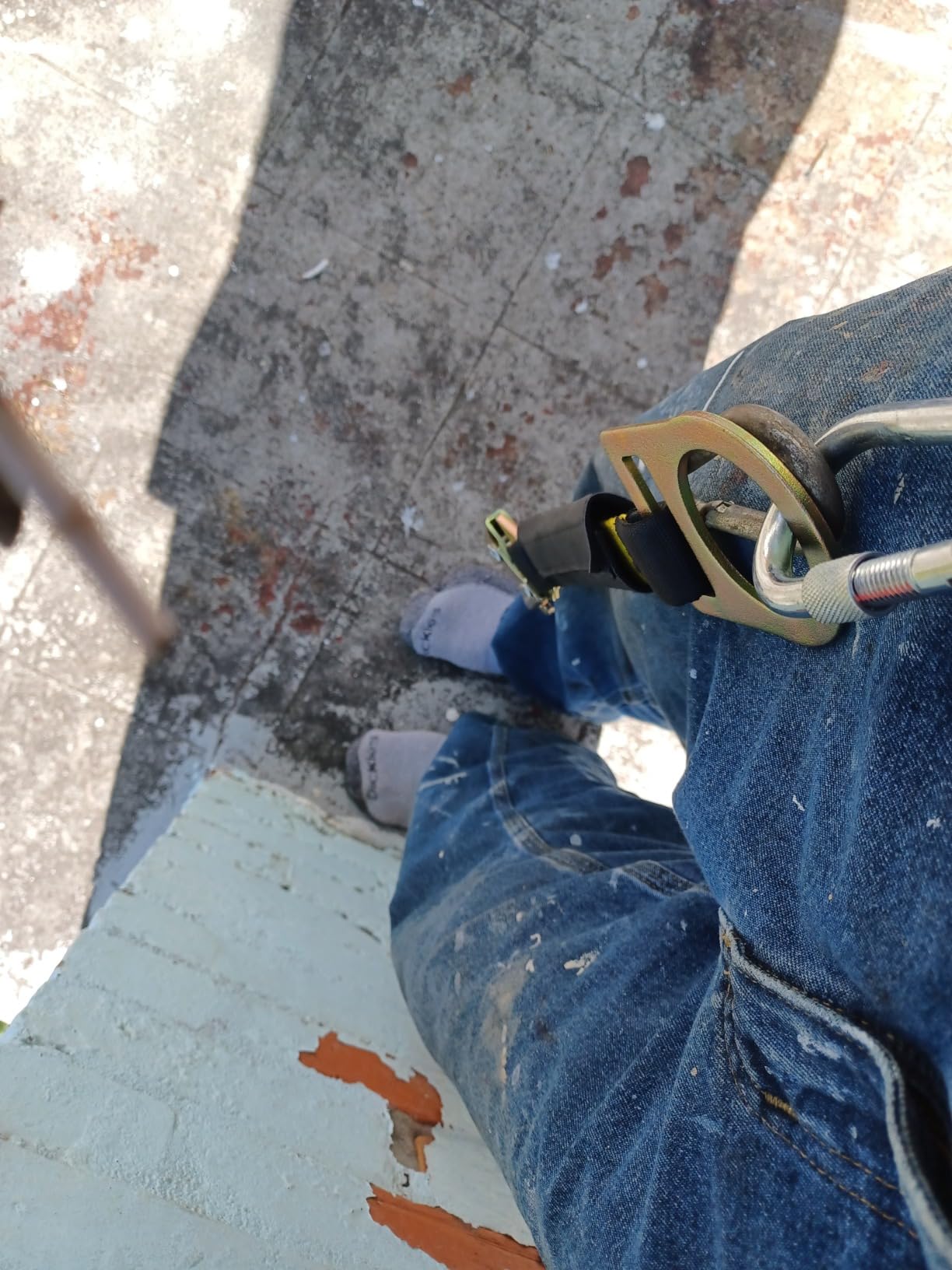 1/2 Inch Arborist Rigging Rope (150 Ft) - Green Double Braid Polyester Tree Rope & Bull Rope, Camouflage Utility Line - 48 Strand High Tensile Strength customer photo 1