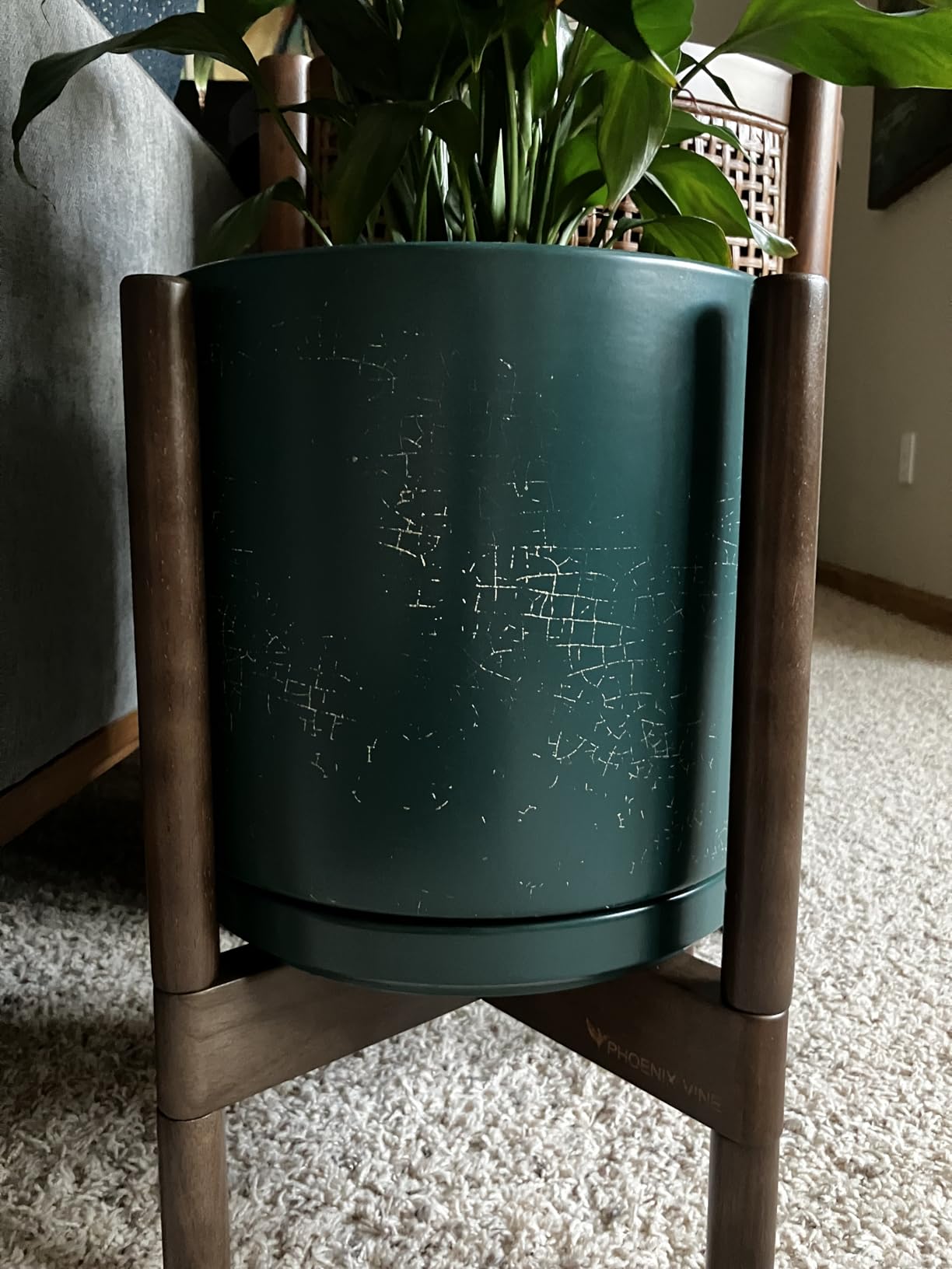 D'vine Dev Ceramic Pot with Walnut Wood Stand, Black, 10 in - Mid-Century Modern Design, Solid Beech Wood Stand, Premium Craftsmanship customer photo 2
