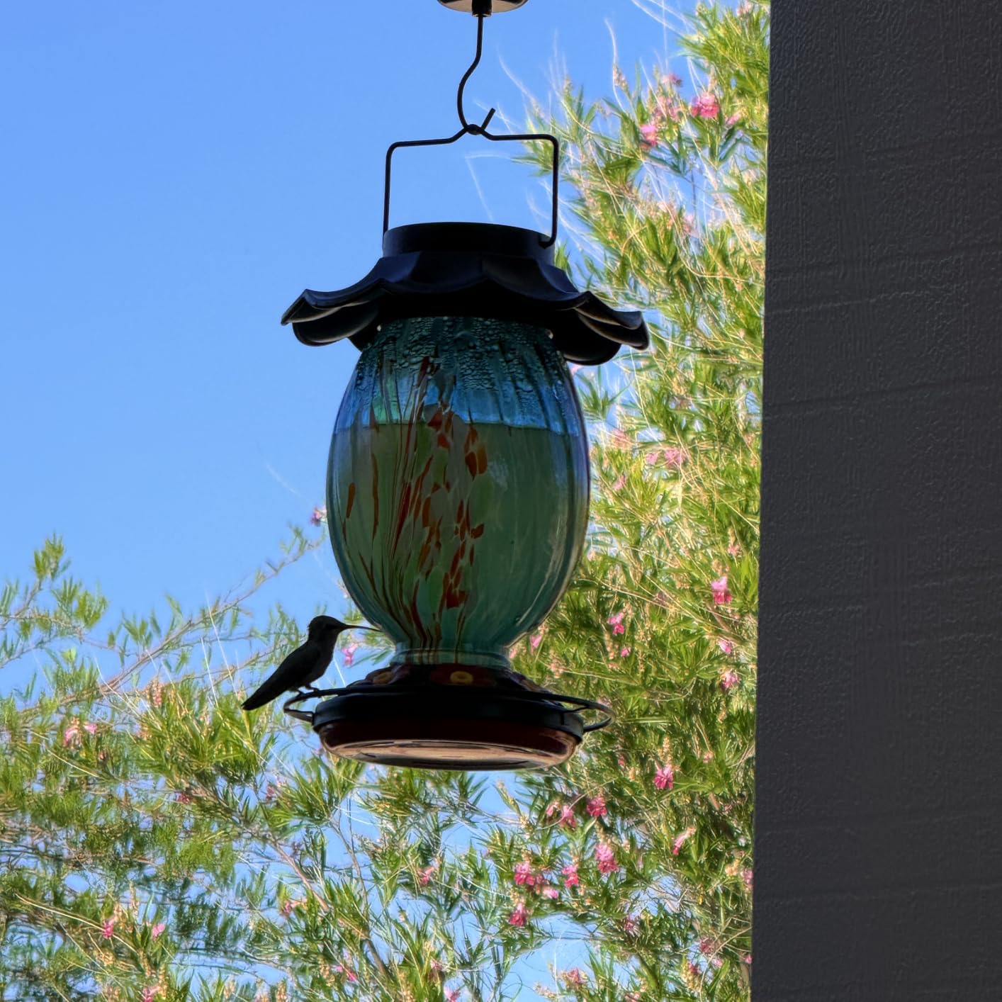 HouseSapp Solar Hummingbird Feeder - 49 fl.oz Hand Blown Glass Color Changing - 7 Feeding Ports with Perch - Never Leak - Perfect Hummingbird Feeder for Outdoors Hanging (Blue) customer photo 1