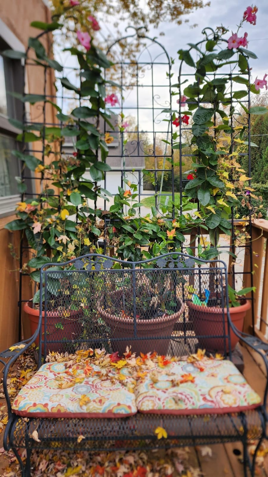 4 Pack 86.2x19.7in Metal Garden Trellis for Climbing Plants, Black Metal Garden Trellis for Vines Plant Rose Vegetable Support, Large Decorative Outdoor Trellis customer photo 1
