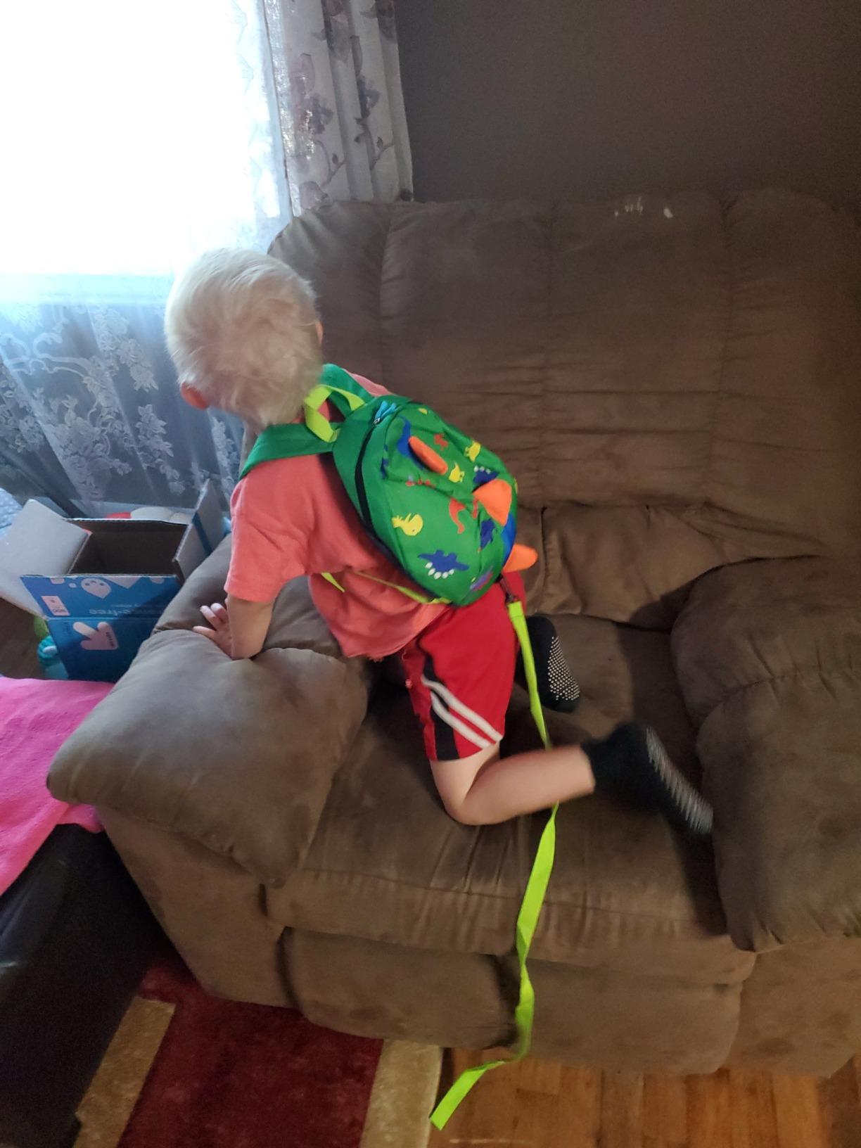 DB Toddler Mini Dinosaur Backpack with Child Leash, Anti Lost Wrist Link for Kids, Safety Harness Back Pack for Baby Boy Girl customer photo 2