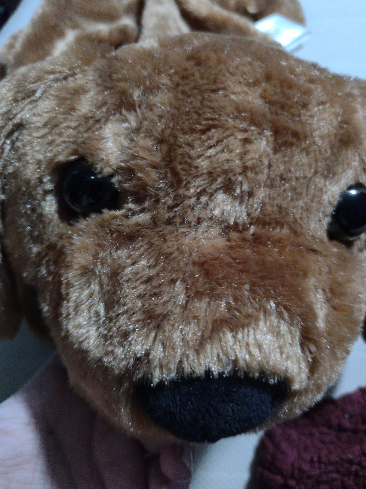 Weighted Stuffed Animals 5lb Lap Pad, Microwavable Sensory Blanket for Kids customer photo 1