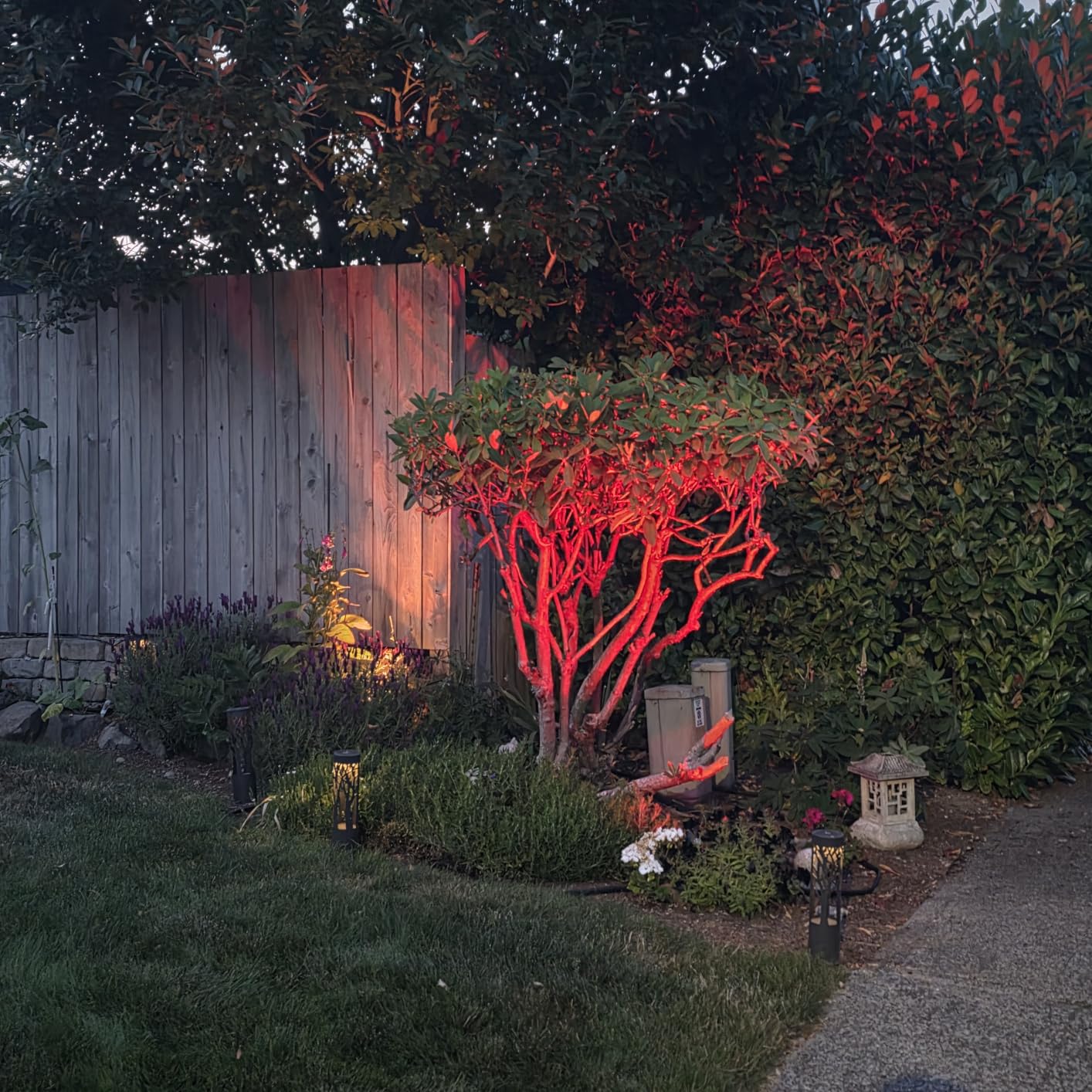 SUNVIE RGBW Landscape Lighting Kit with 300W Transformer, Waterproof, 12PCS customer photo 2