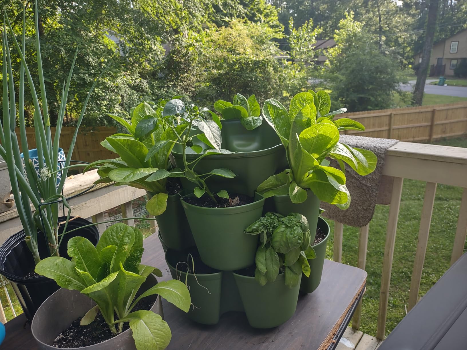 Greenstalk 7 Tier Leaf Vertical Planter for Growing a Variety of Strawberries, Vegetables, Herbs, & Flowers (Evergreen) customer photo 1