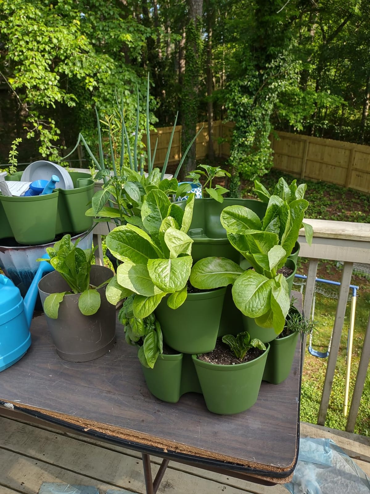 Greenstalk 7 Tier Leaf Vertical Planter for Growing a Variety of Strawberries, Vegetables, Herbs, & Flowers (Evergreen) customer photo 2