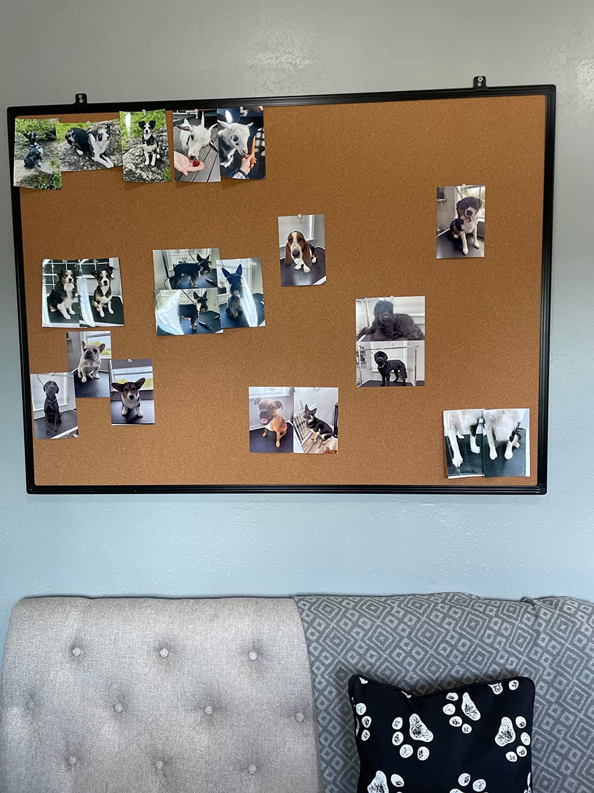 Extra Large Cork Bulletin Board 72