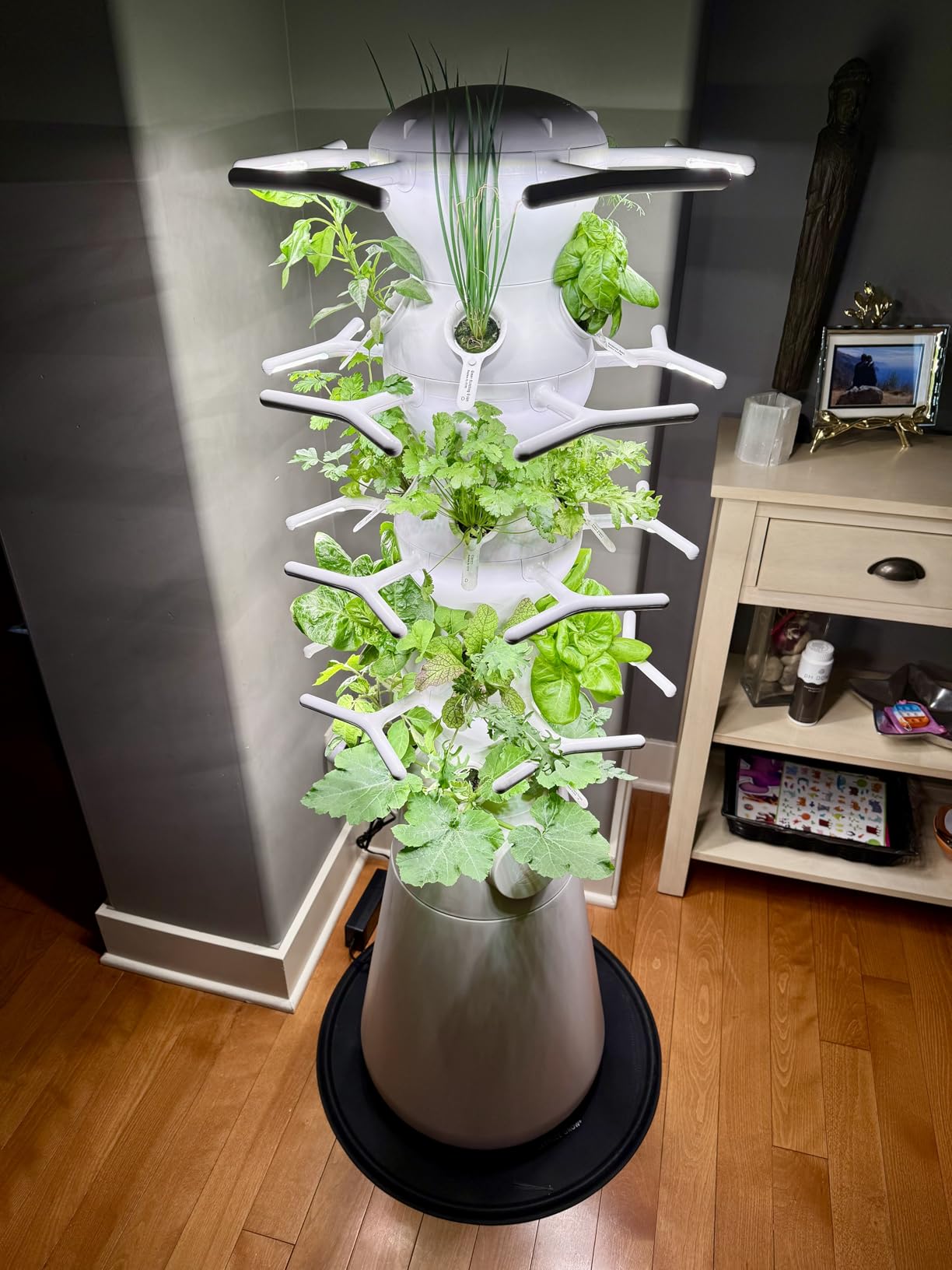 Lettuce Grow Farmstand Nook 4ft.7