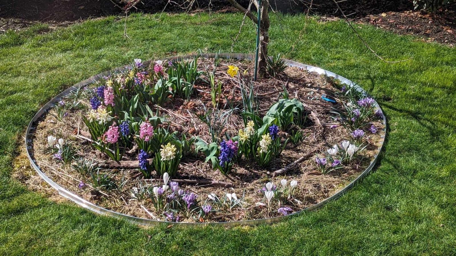 EasyFlex Aluminum No-Dig Landscape Edging for Landscape or Paver Projects, 10 Metal Edging Pieces with Spikes, 50 Feet, Mill customer photo 1